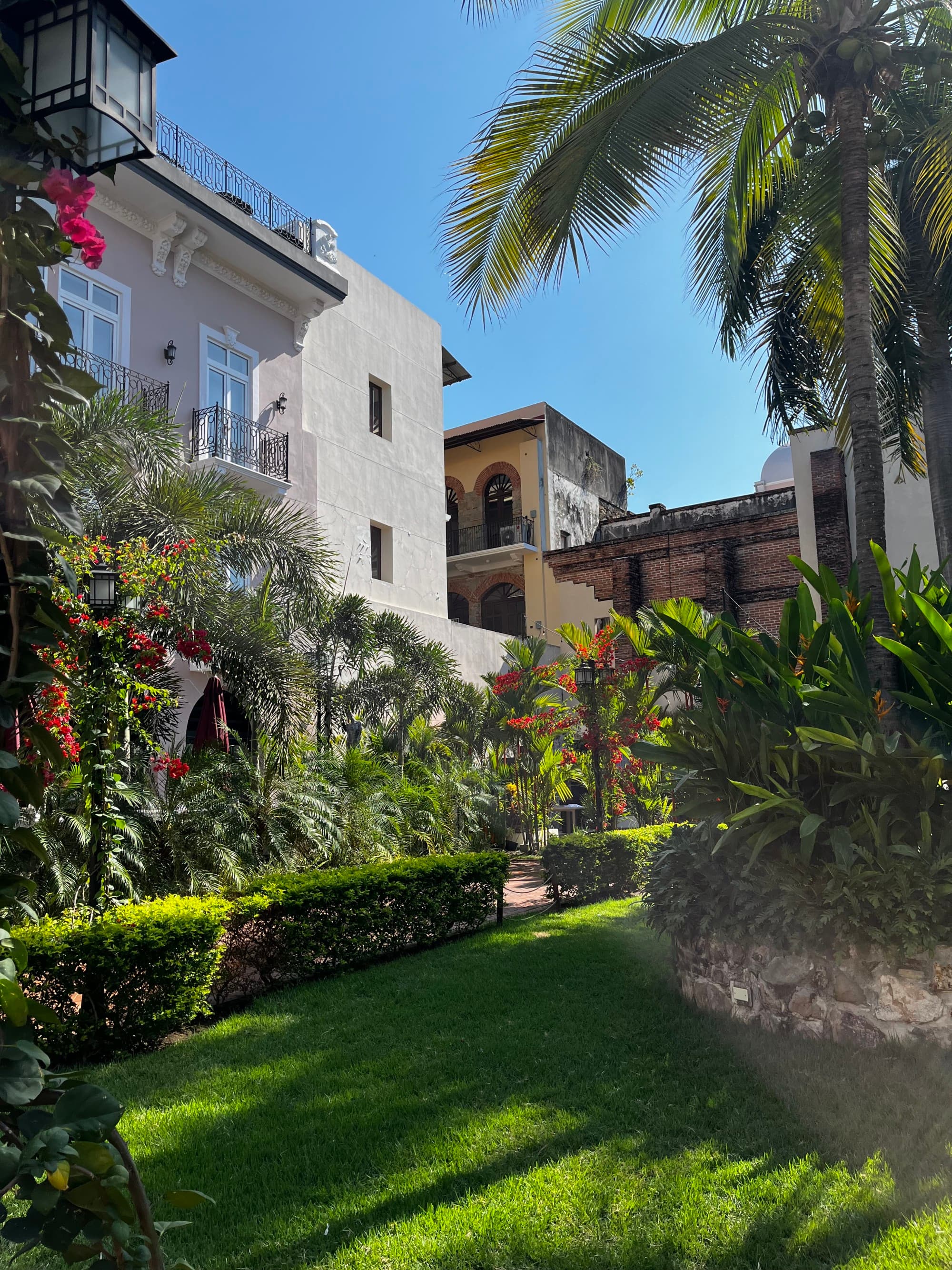 A beautiful courtyard full of vibrant trees, plants, shrubs and flowers. There are white and tan buildings in the background.