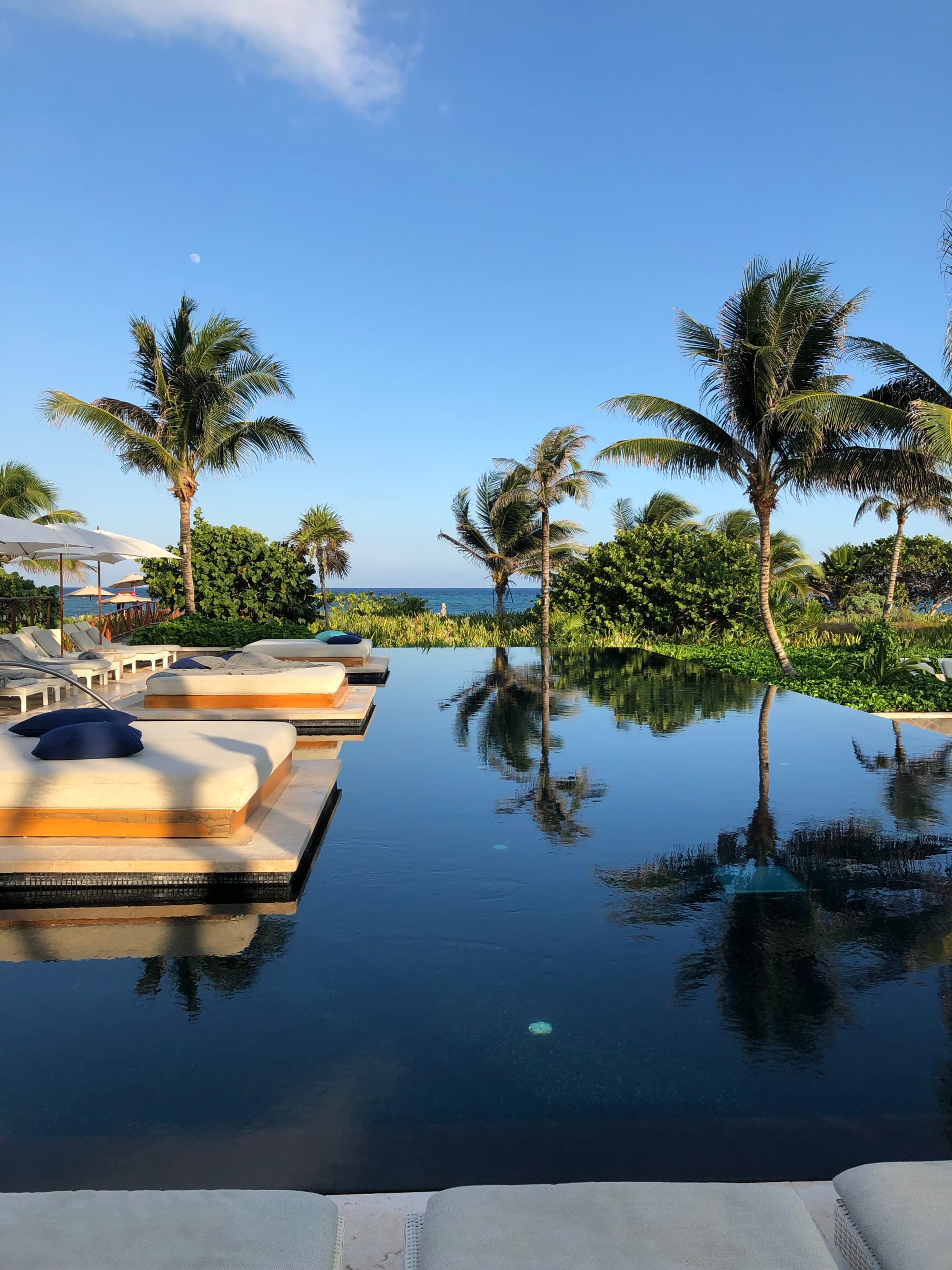 Pool and poolside view with palm trees in the distance