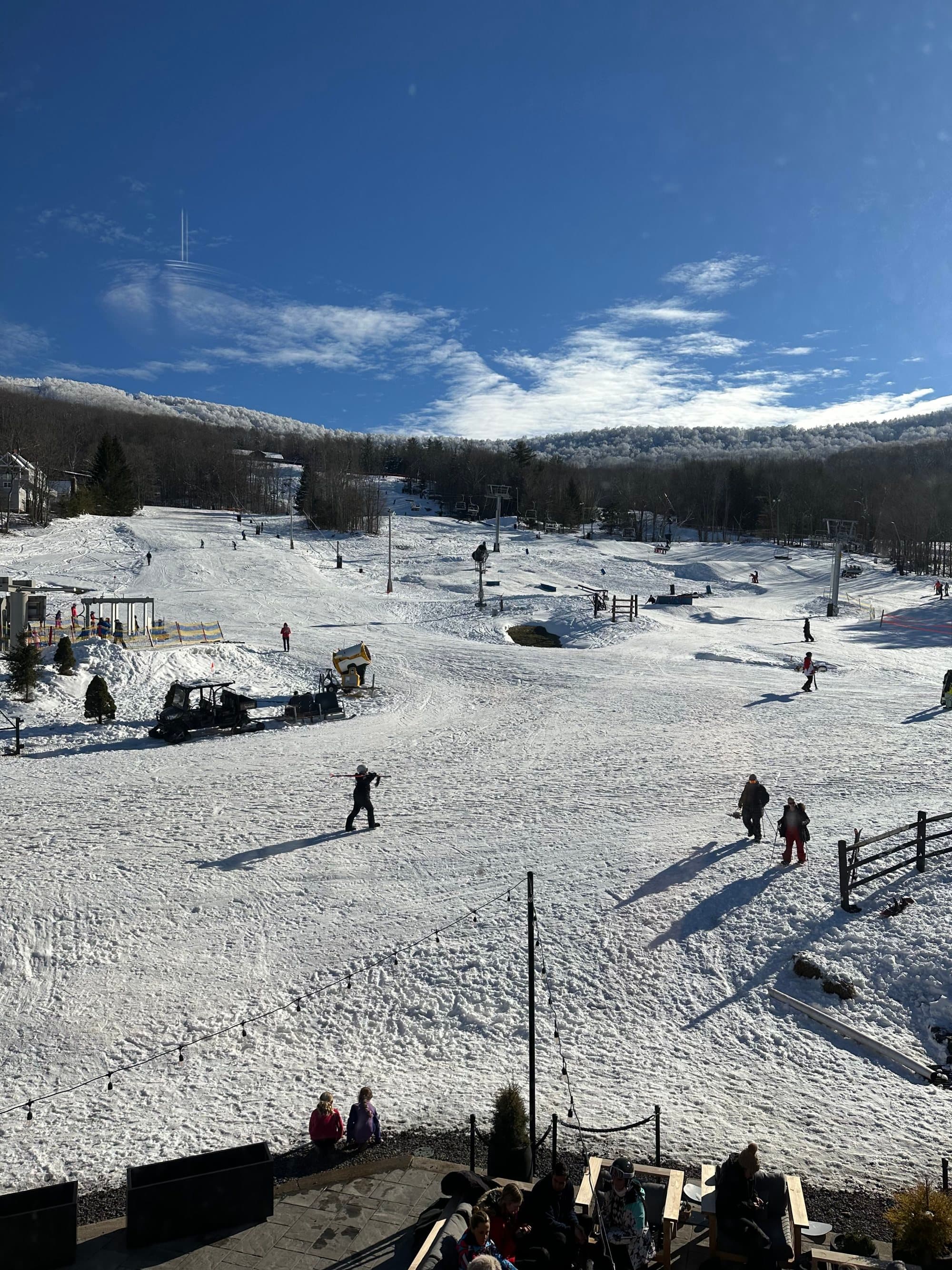 A view of snowy terrain with trees and people scattered around.