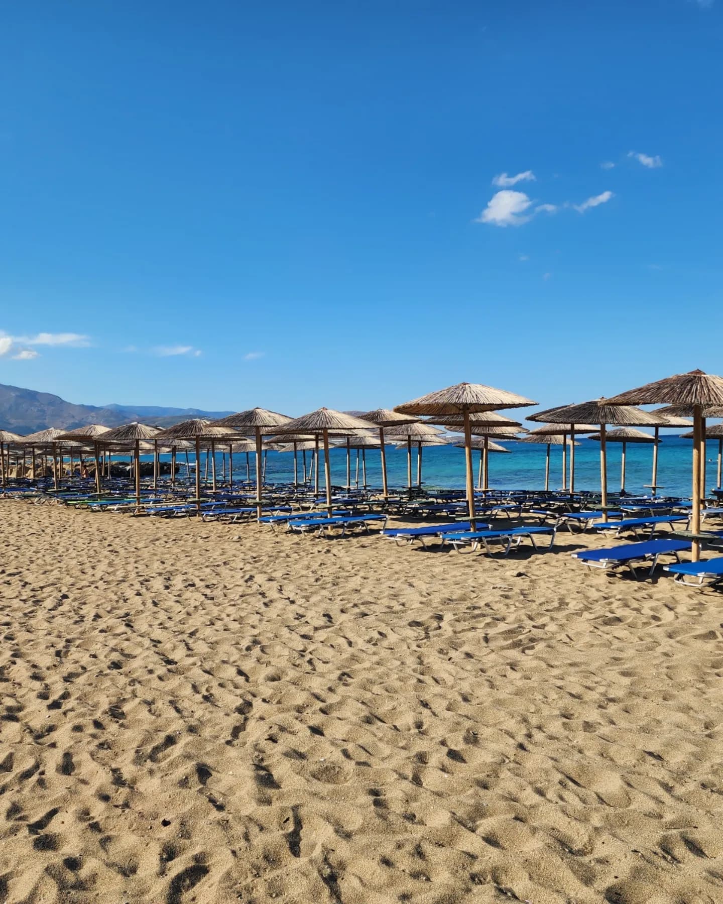 A sandy beach with beach umbrellas lined up against the shore