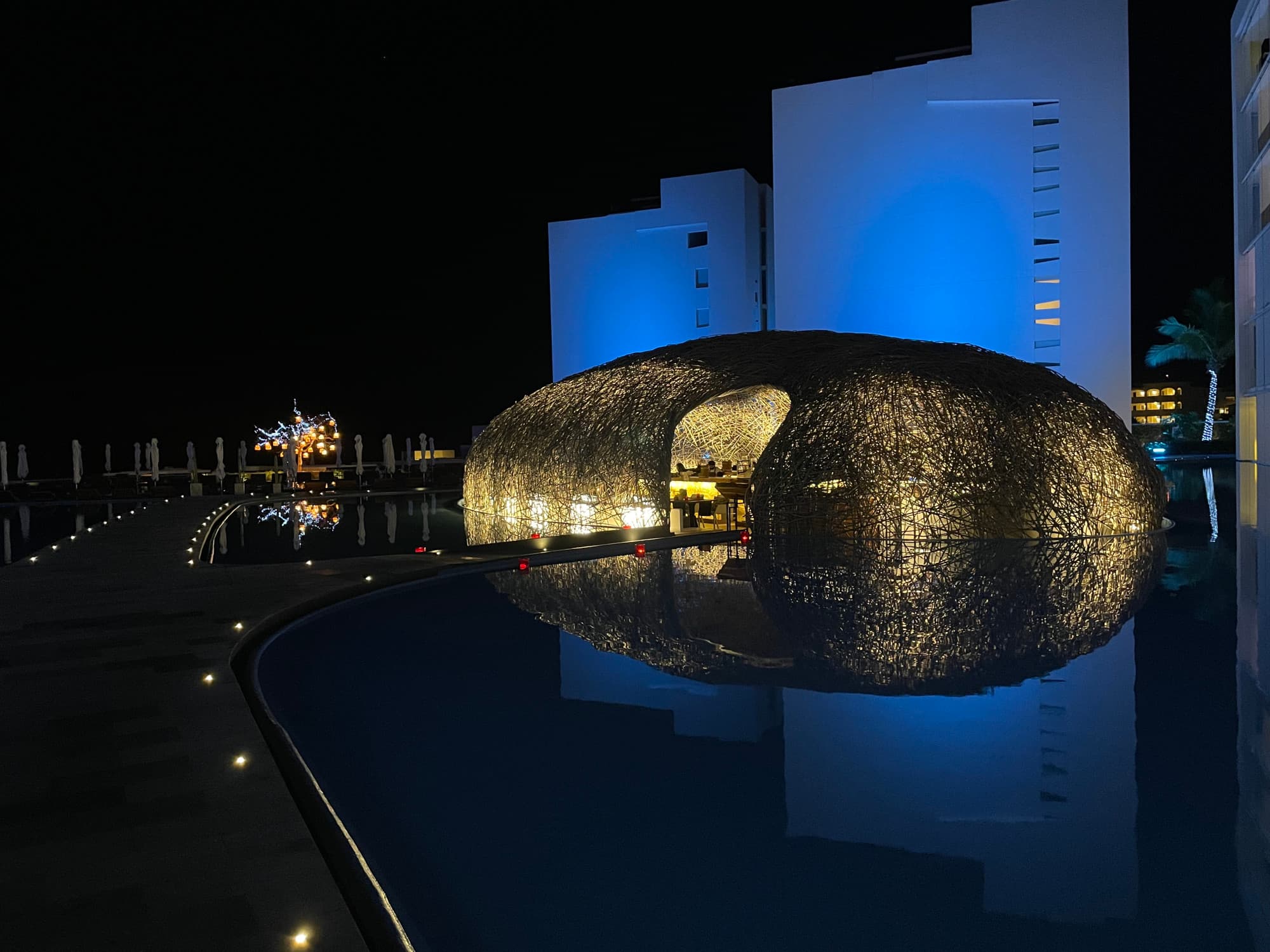 Viceroy Night - Chelsea Johnson