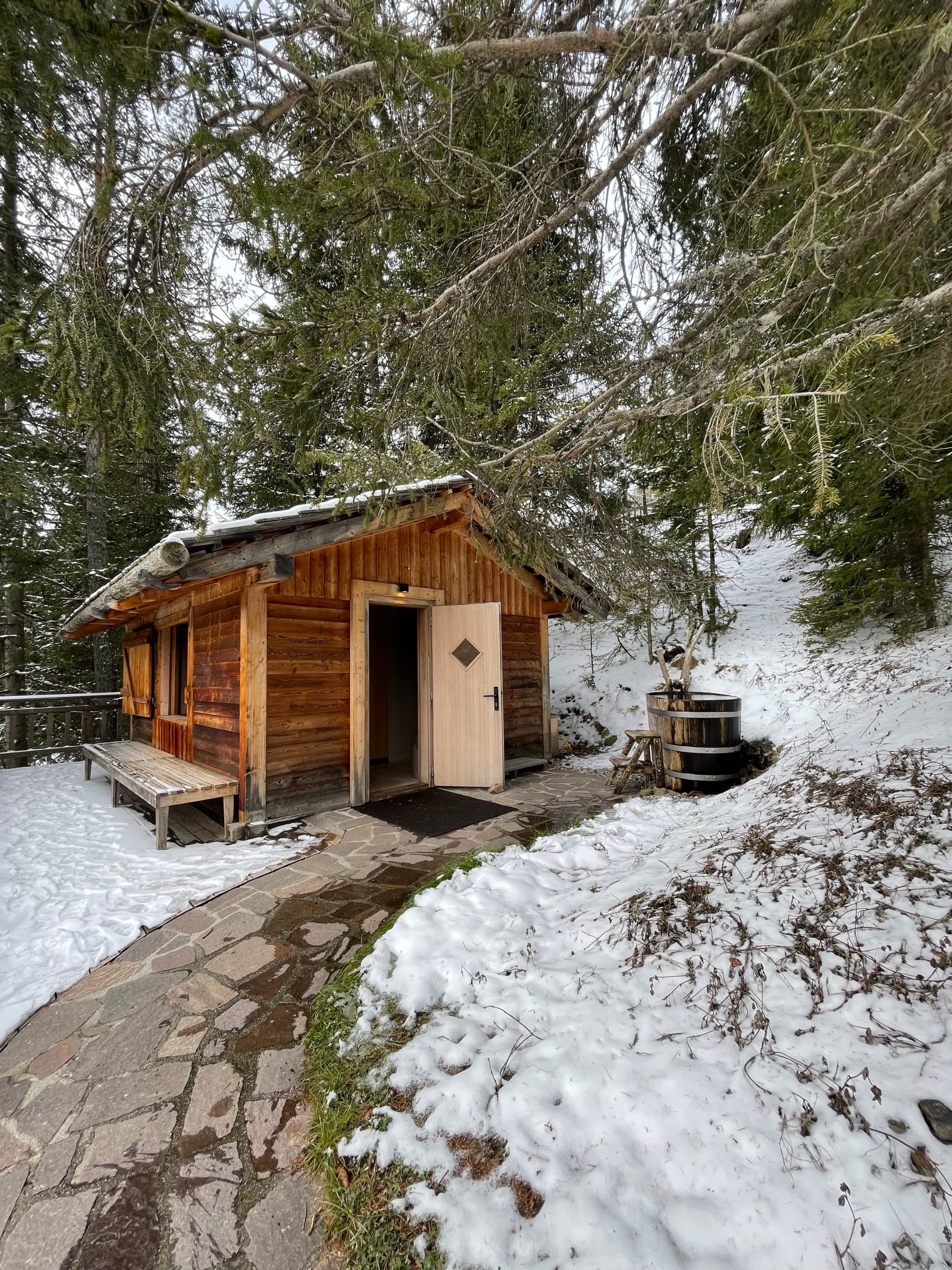 Forestis Sauna. Cold Pluge - Daryn Schwartz
