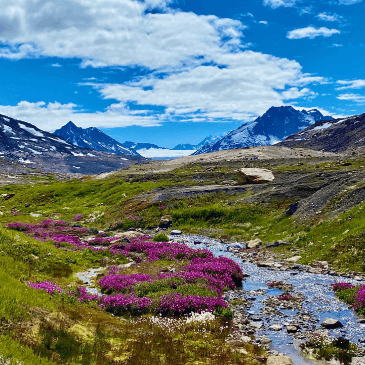 People watching the sunset.