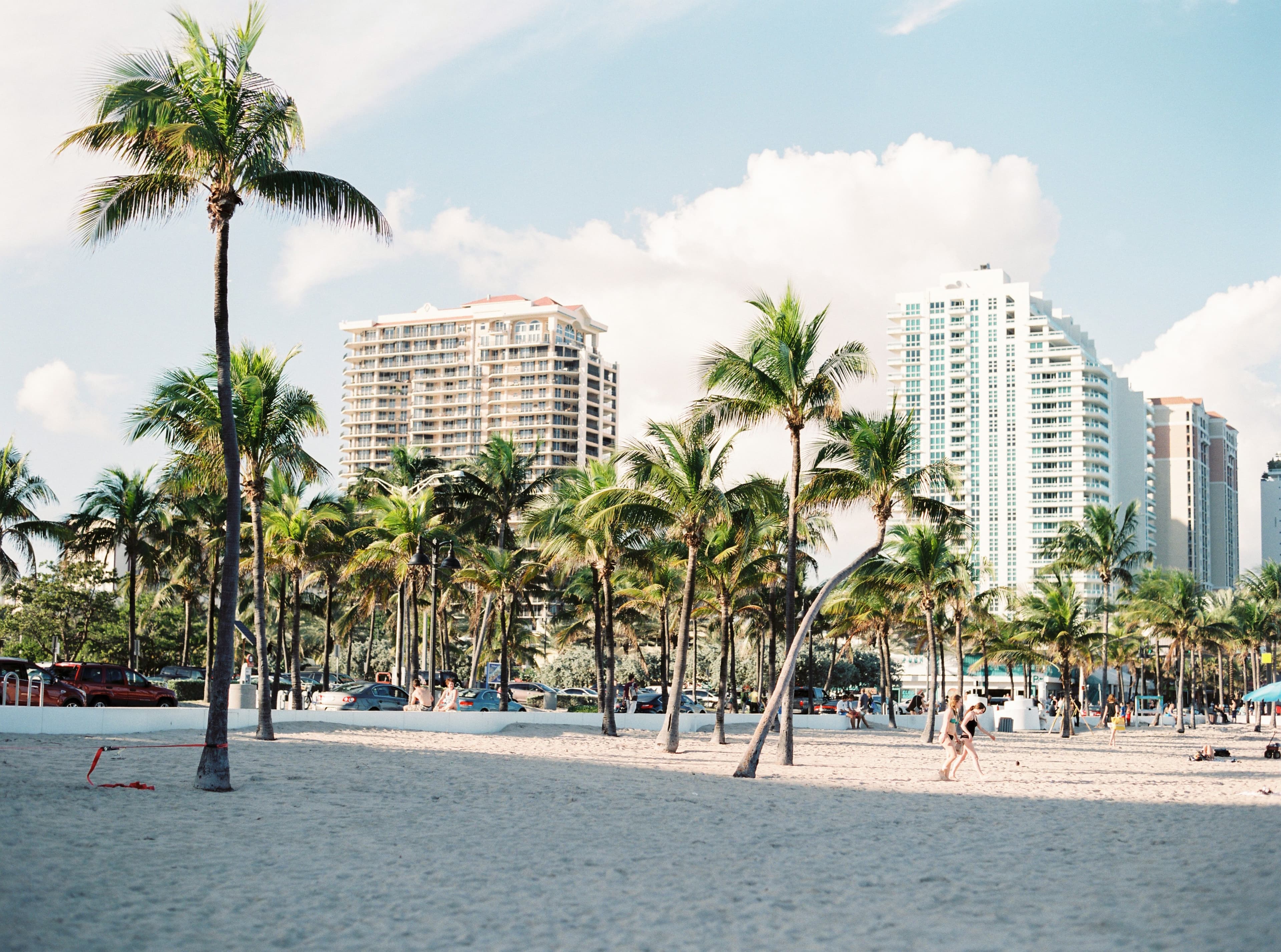Buildings and trees at beach side