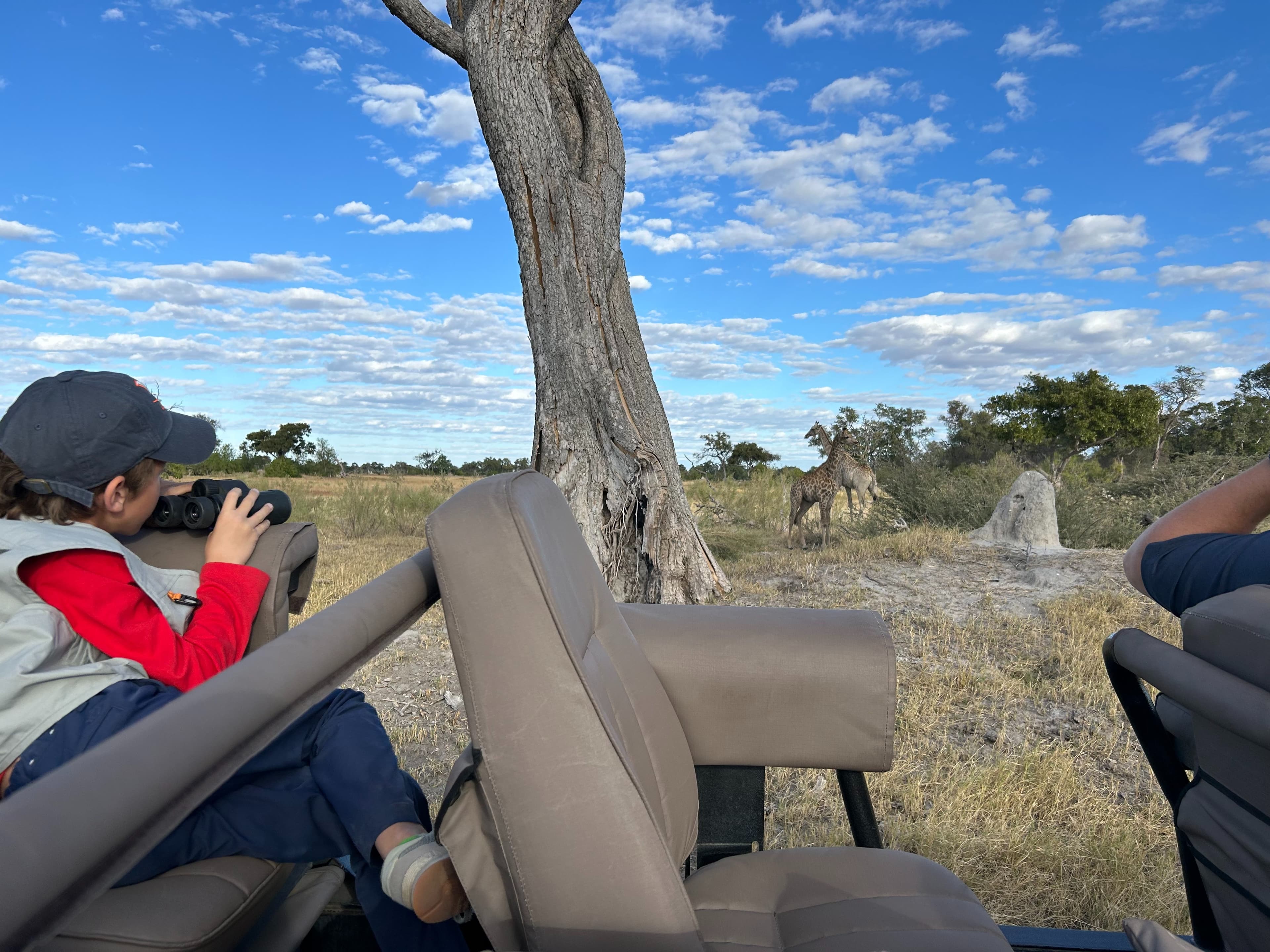 A person photographing a giraffe from inside a vehicle, capturing a close wildlife encounter on a sunny day.