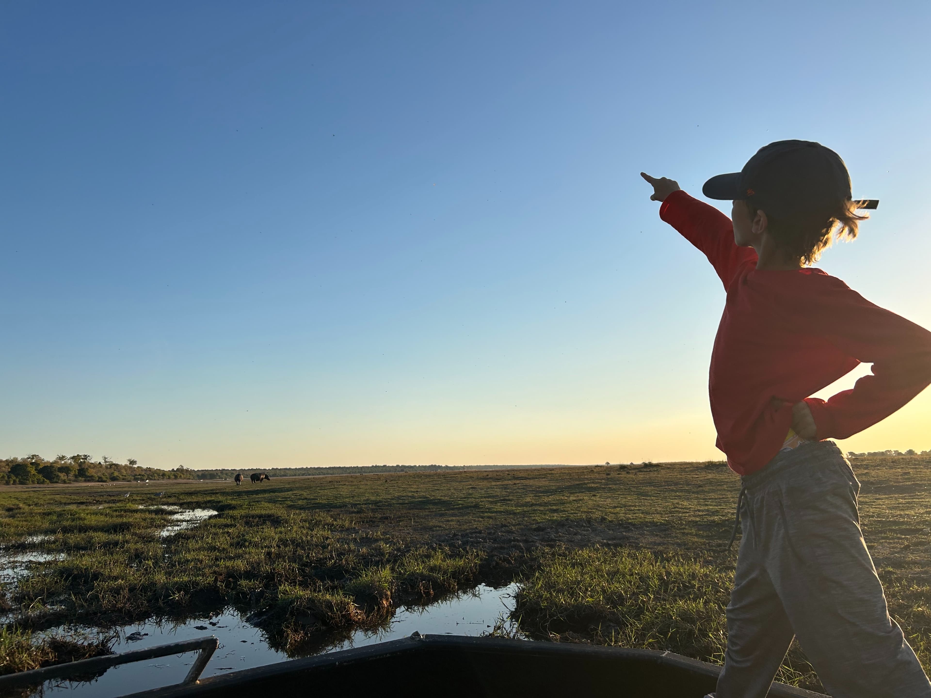 A child pointing towards the horizon while standing in a boat amidst a wetland area.