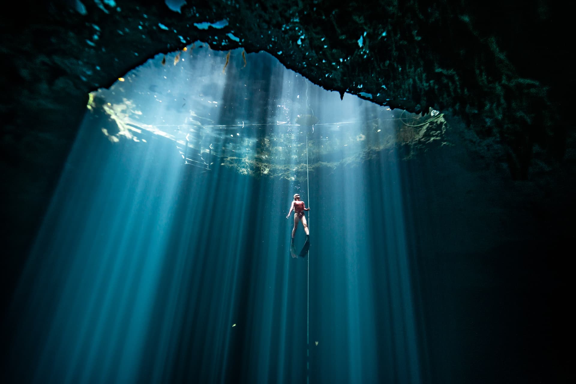 Picture of Neomi diving