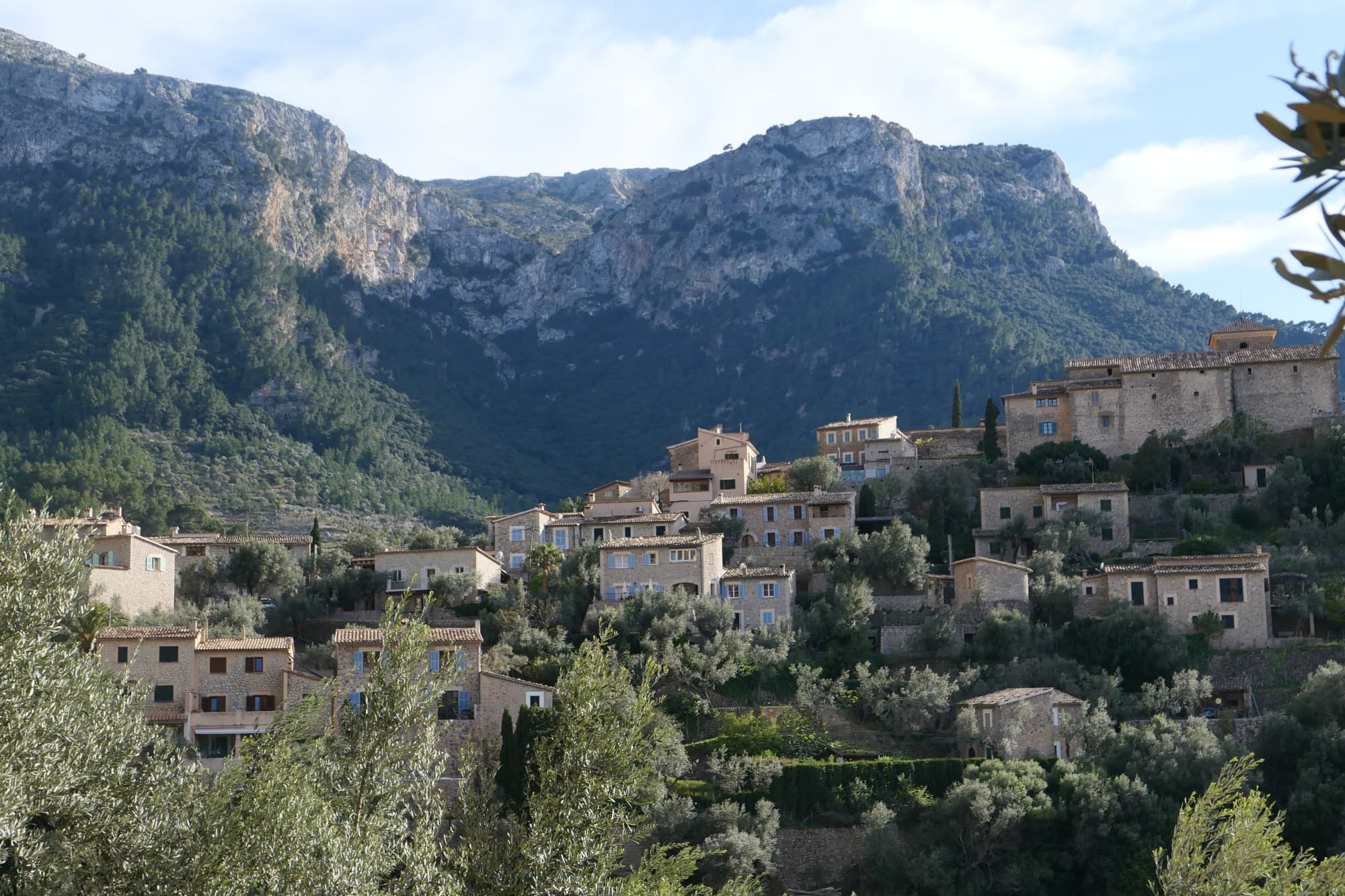 hillside buildings on a lush cliff