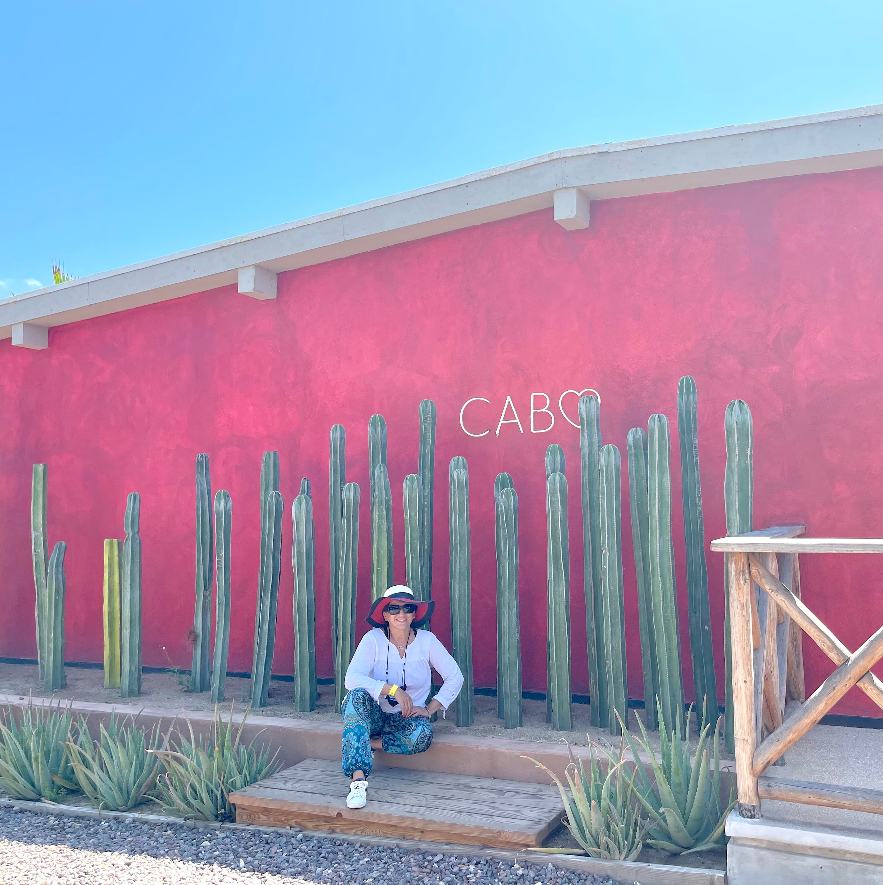 Travel advisor Lisa sitting on a wall in a white shirt and hat in front of a pink wall and cacti with a Cabo sign