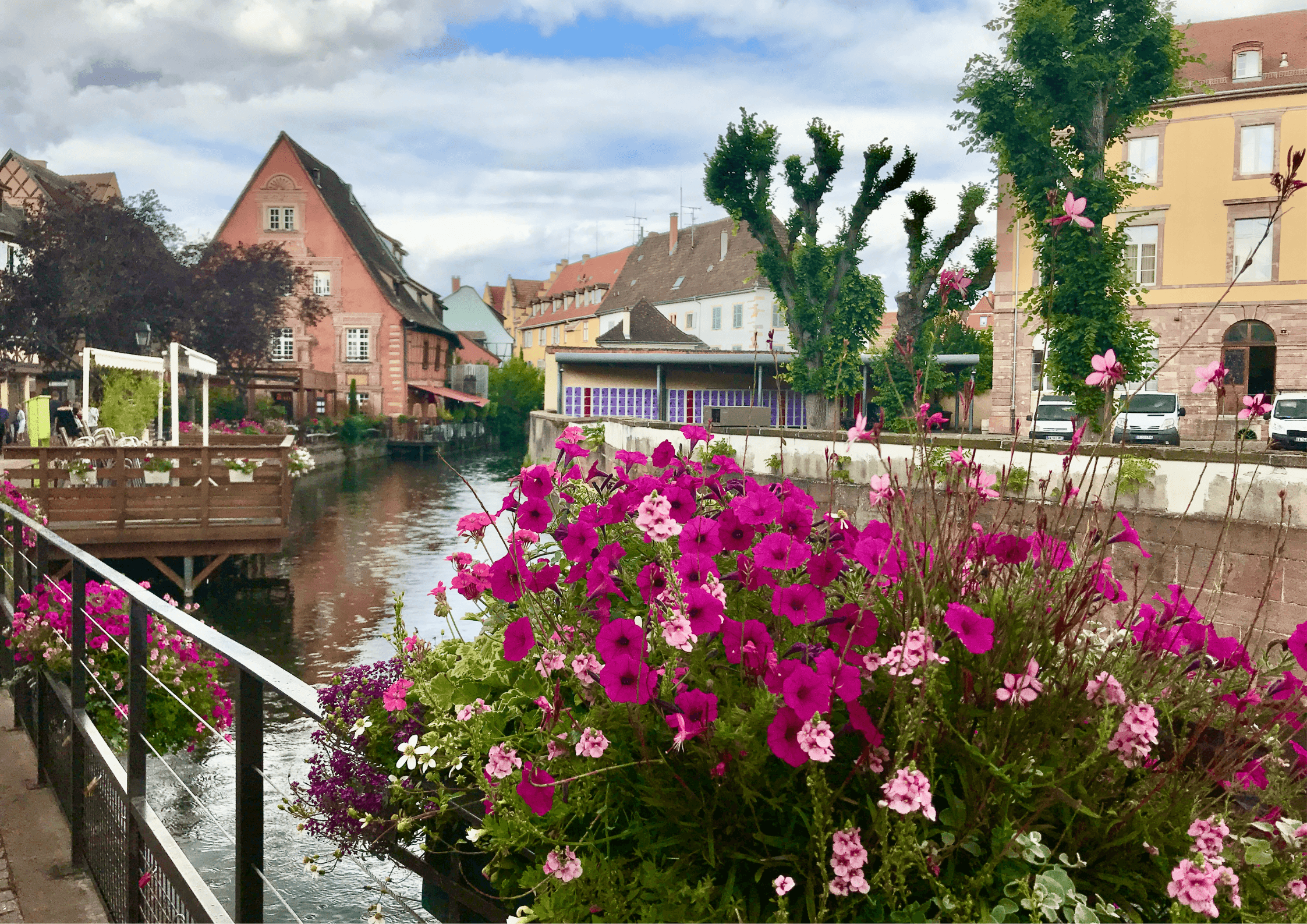river view of flowers