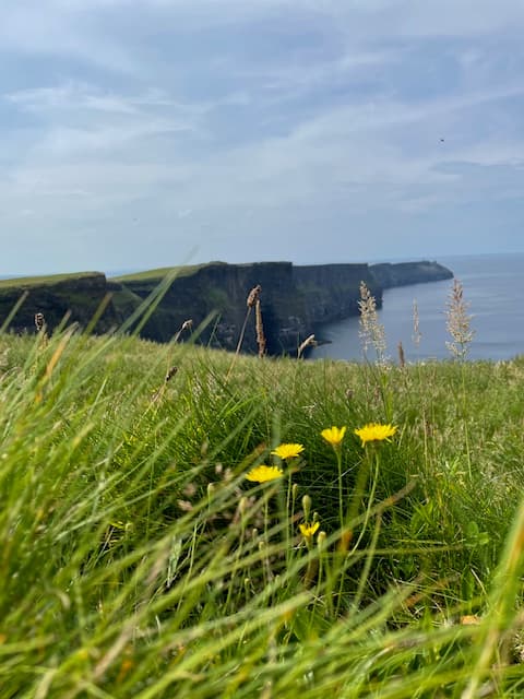 Beautiful view of shore