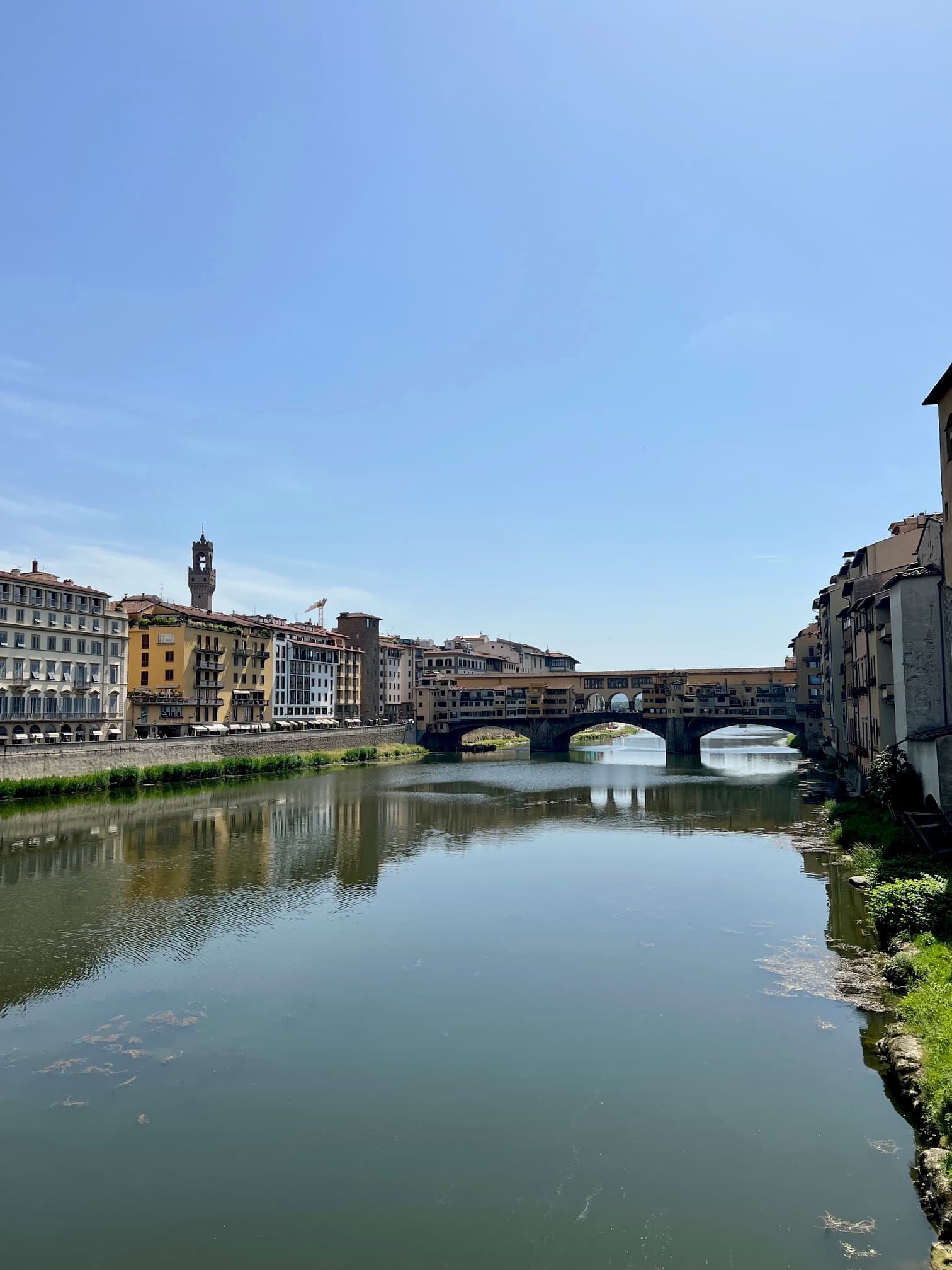 View of a river on a sunny day with an old bridge and buildings either side