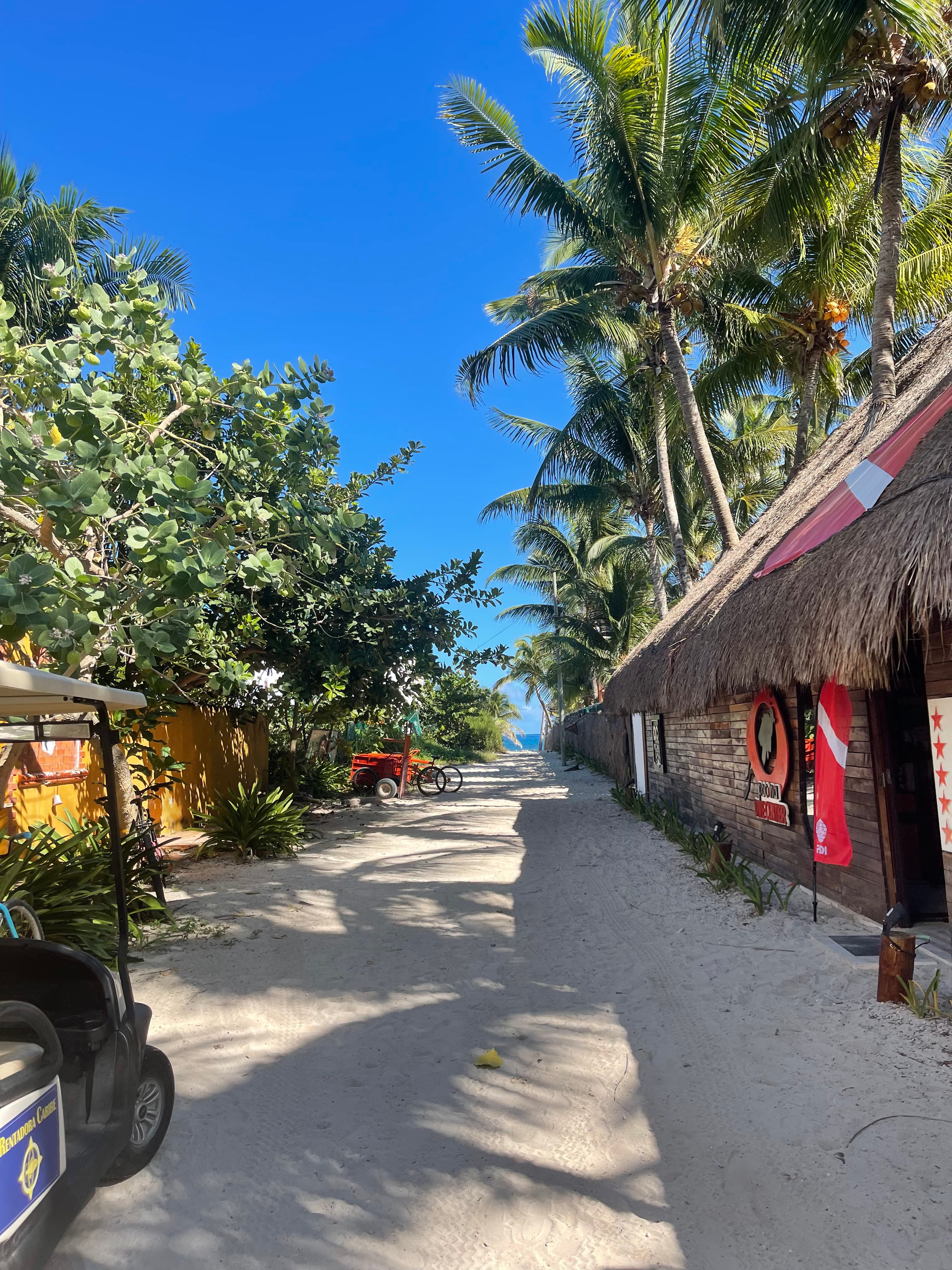 Path leading to the beach