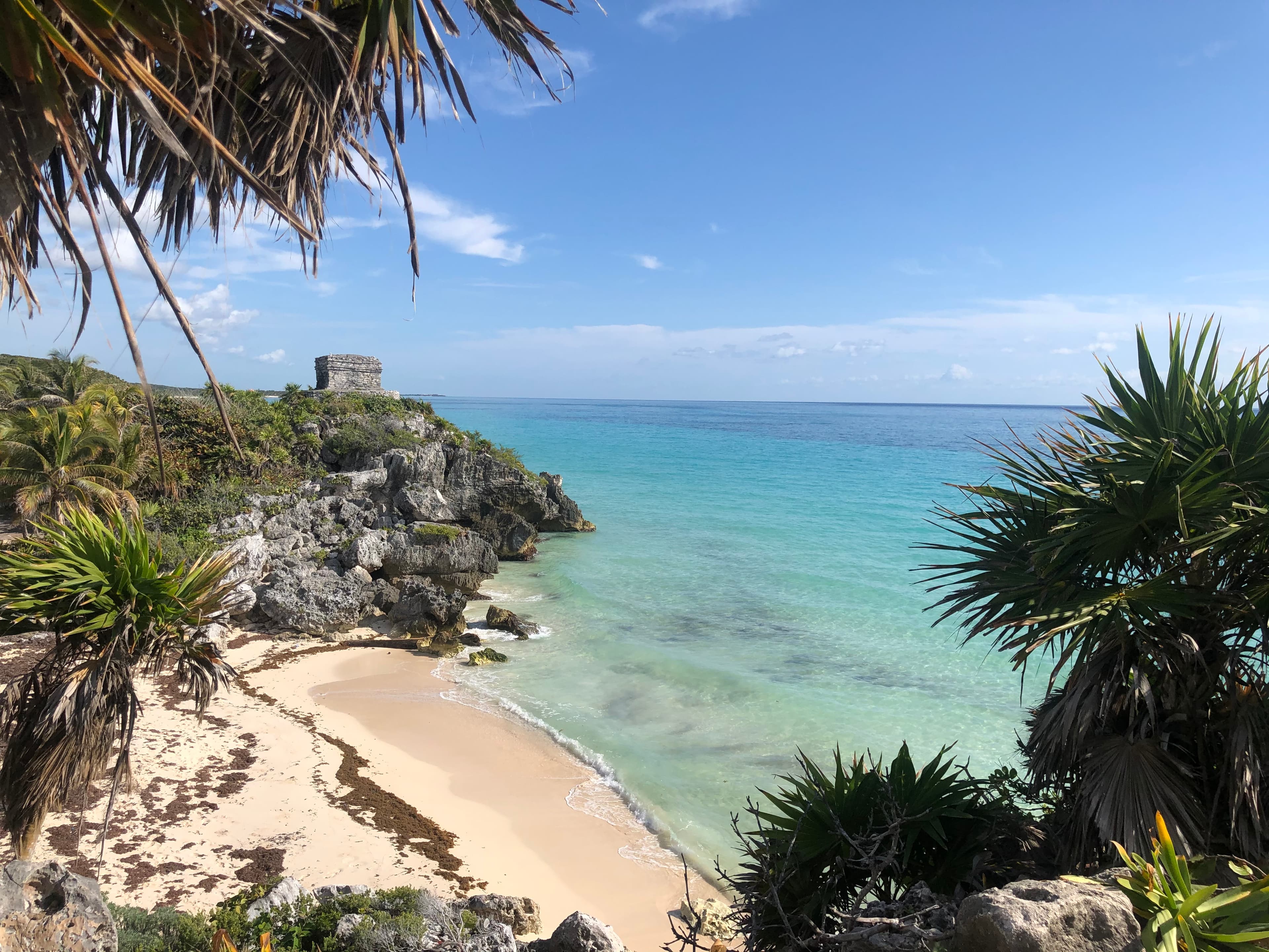 A beach as seen from a trail above with palm trees in the foreground and a rocky hill in the distance.