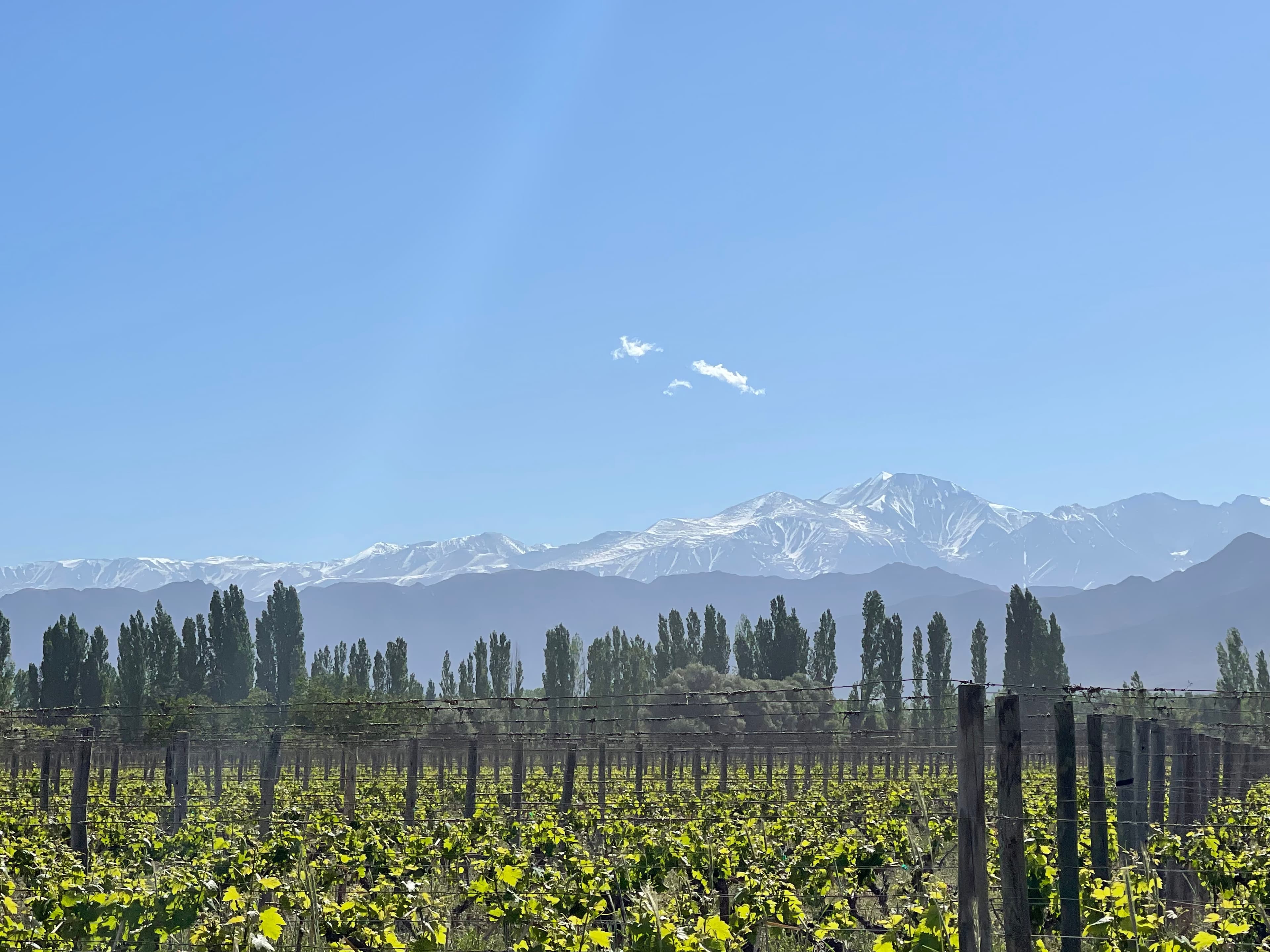 Beautiful view of the plantation and mountains