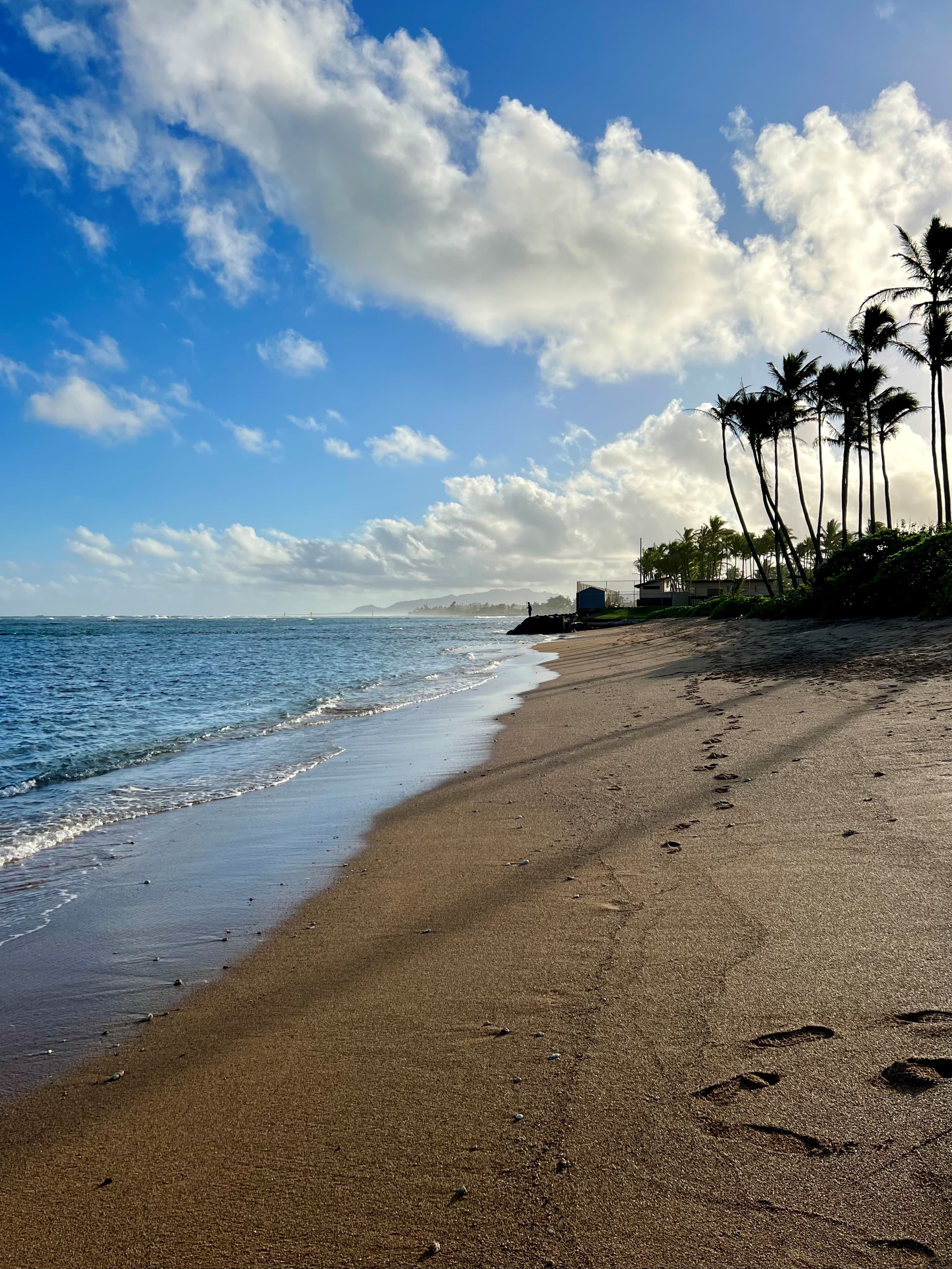 View of Kauai beach