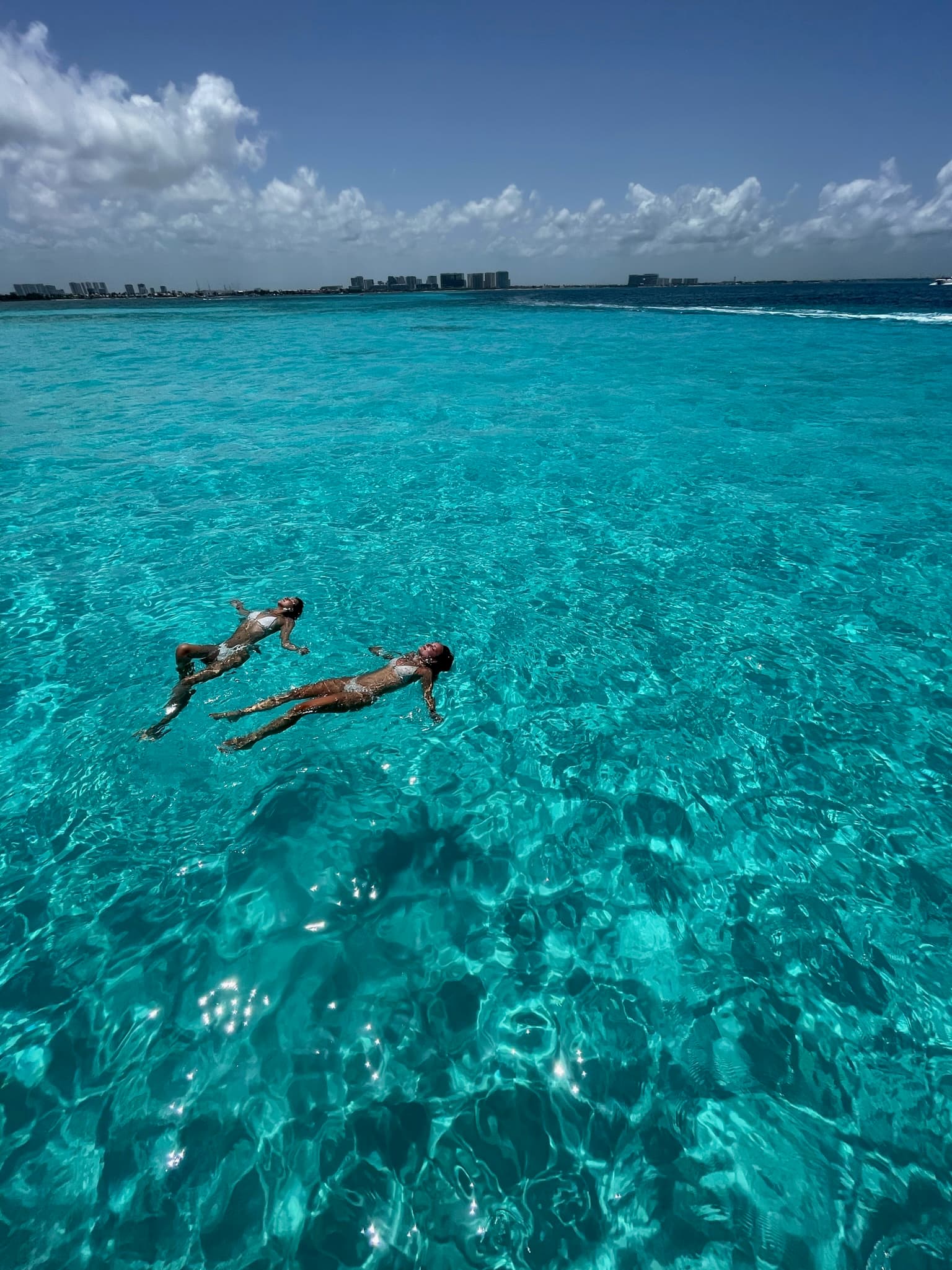 Floating in the clear blue water of the sea