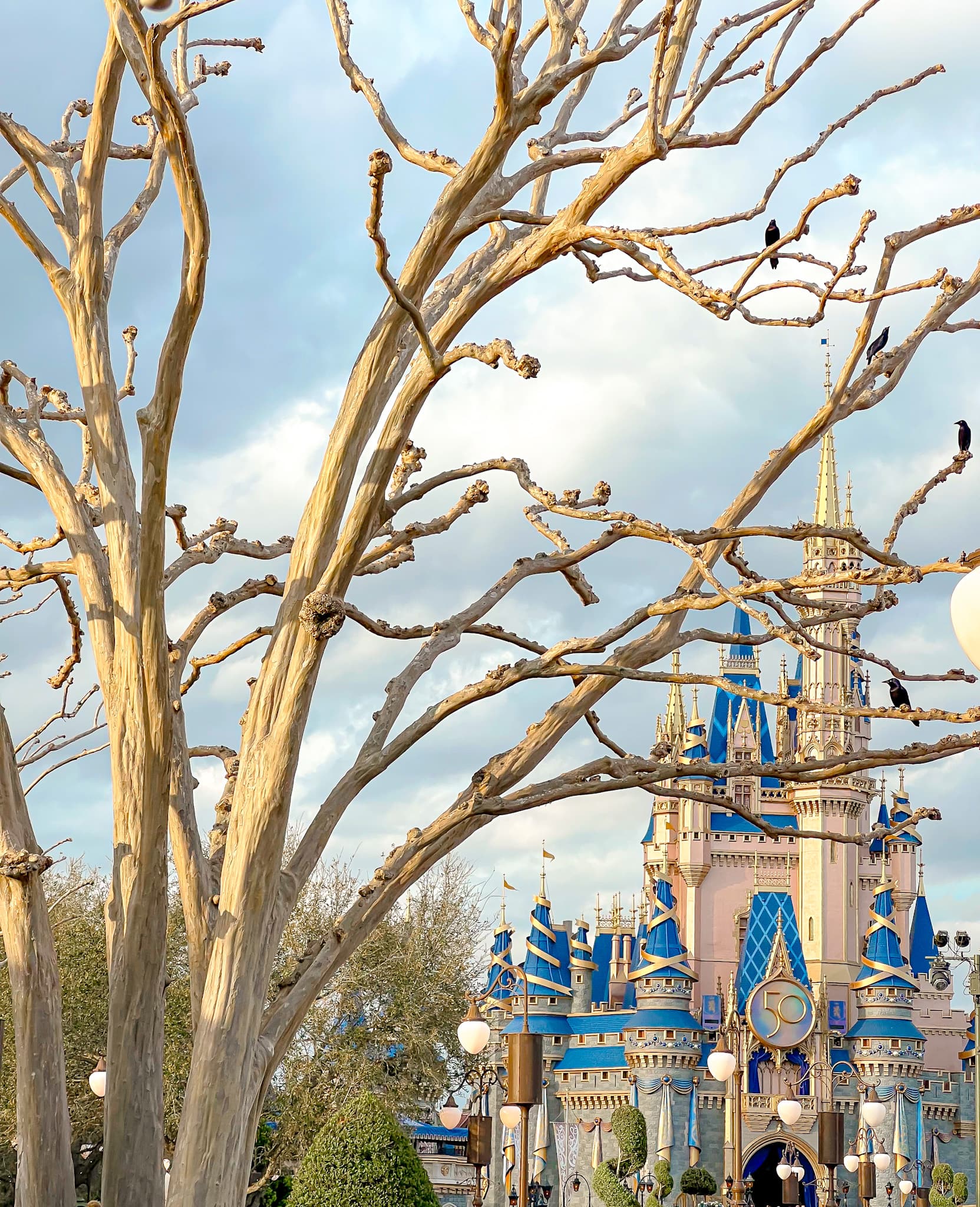 View of blue and pink castle at Disney with large tree