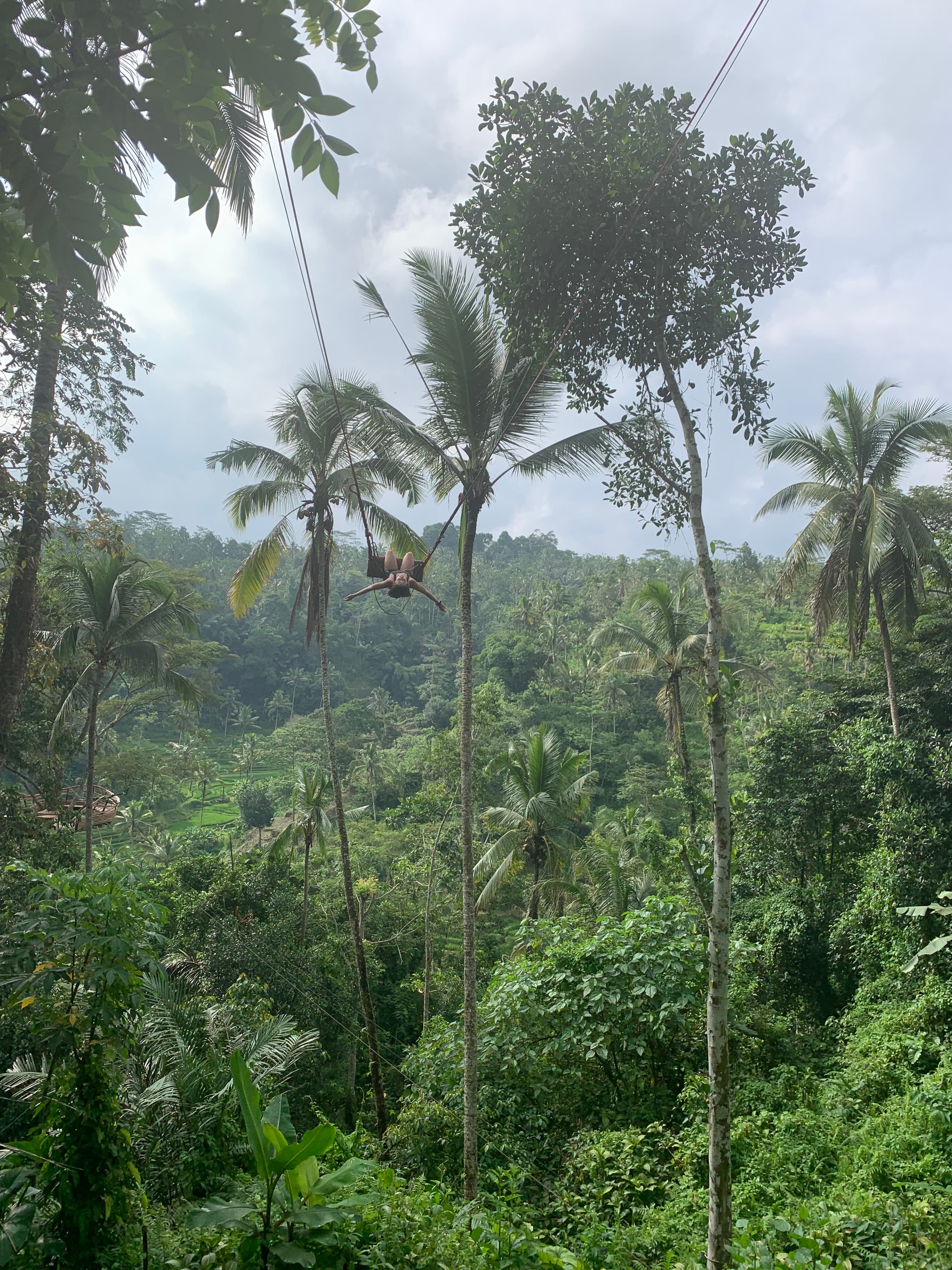 Travel advisor Sarah on a swing high up above a forest with tall trees