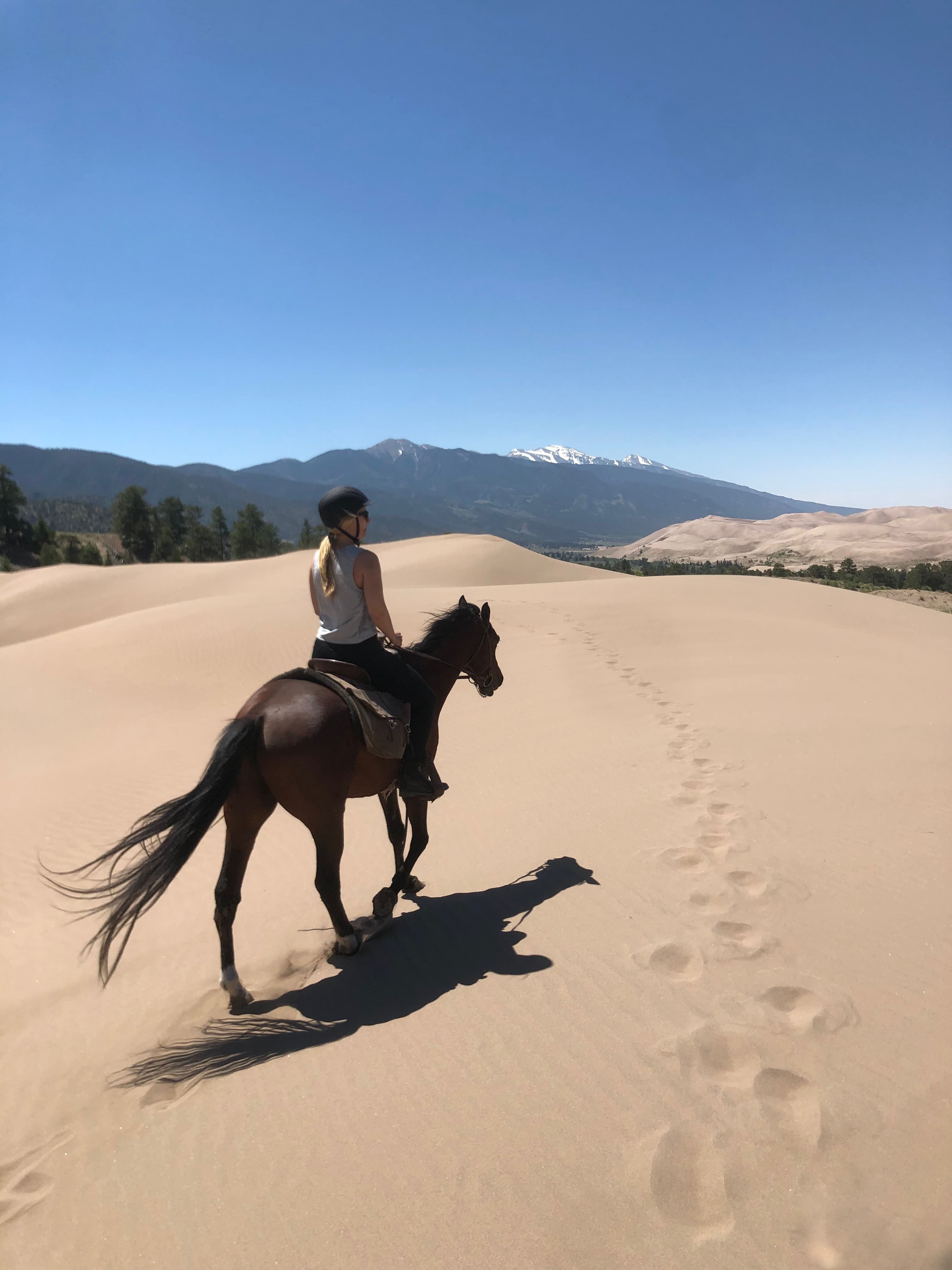 Picture of Erin on horse