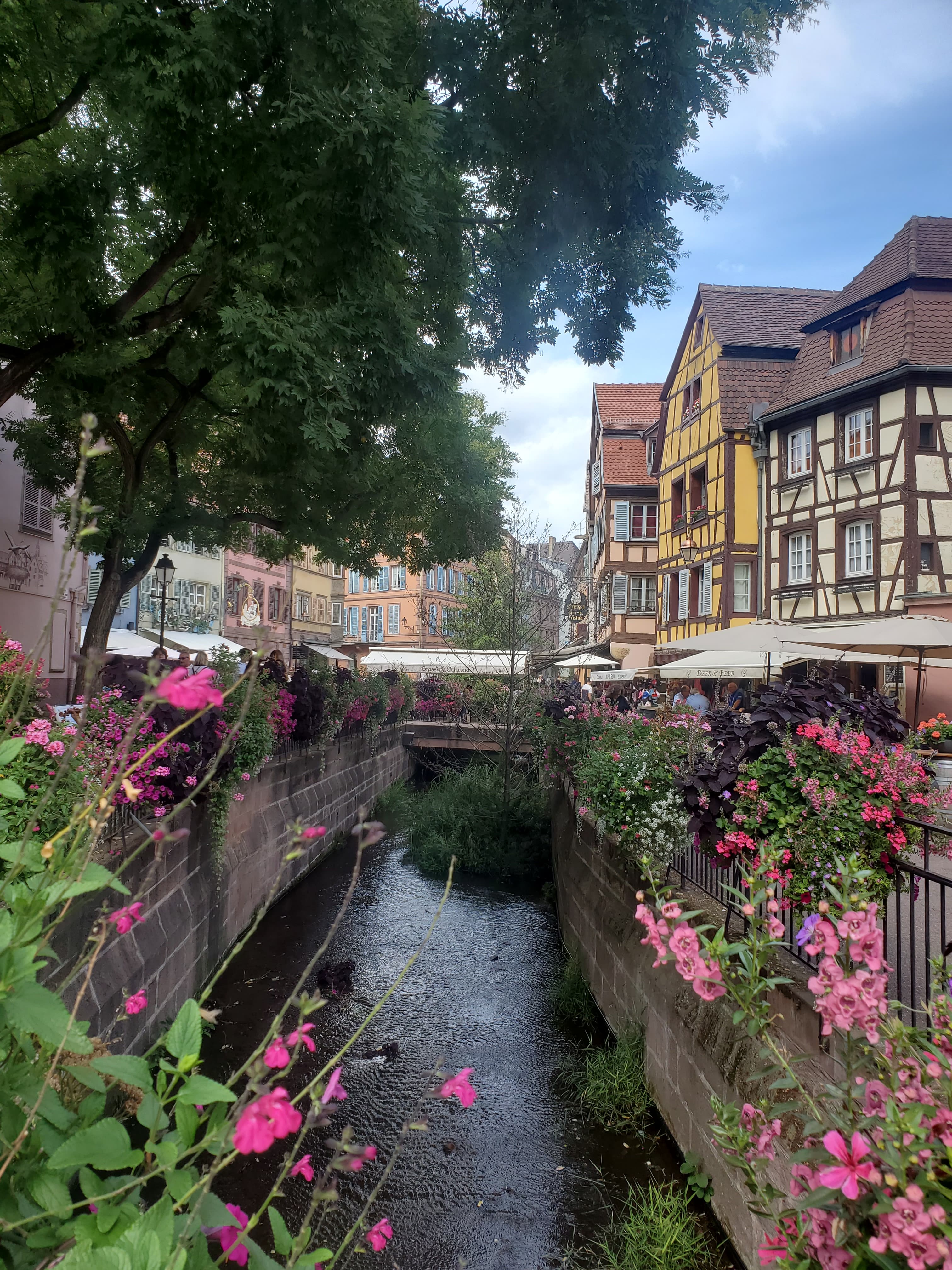 Alsace, France, with half-timbered houses on either side of a river and pink flowers