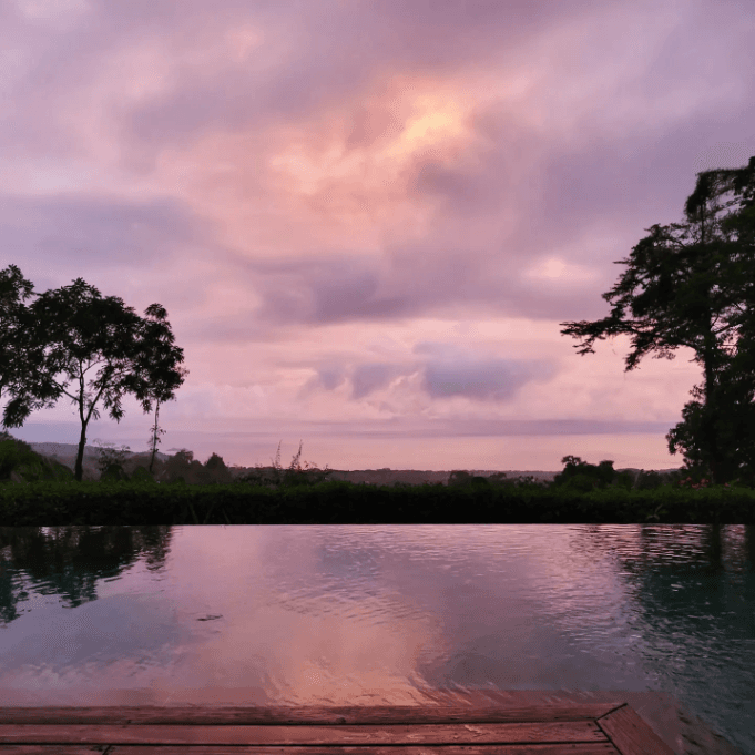 A pink sunset over an infinity pool with trees in the background.