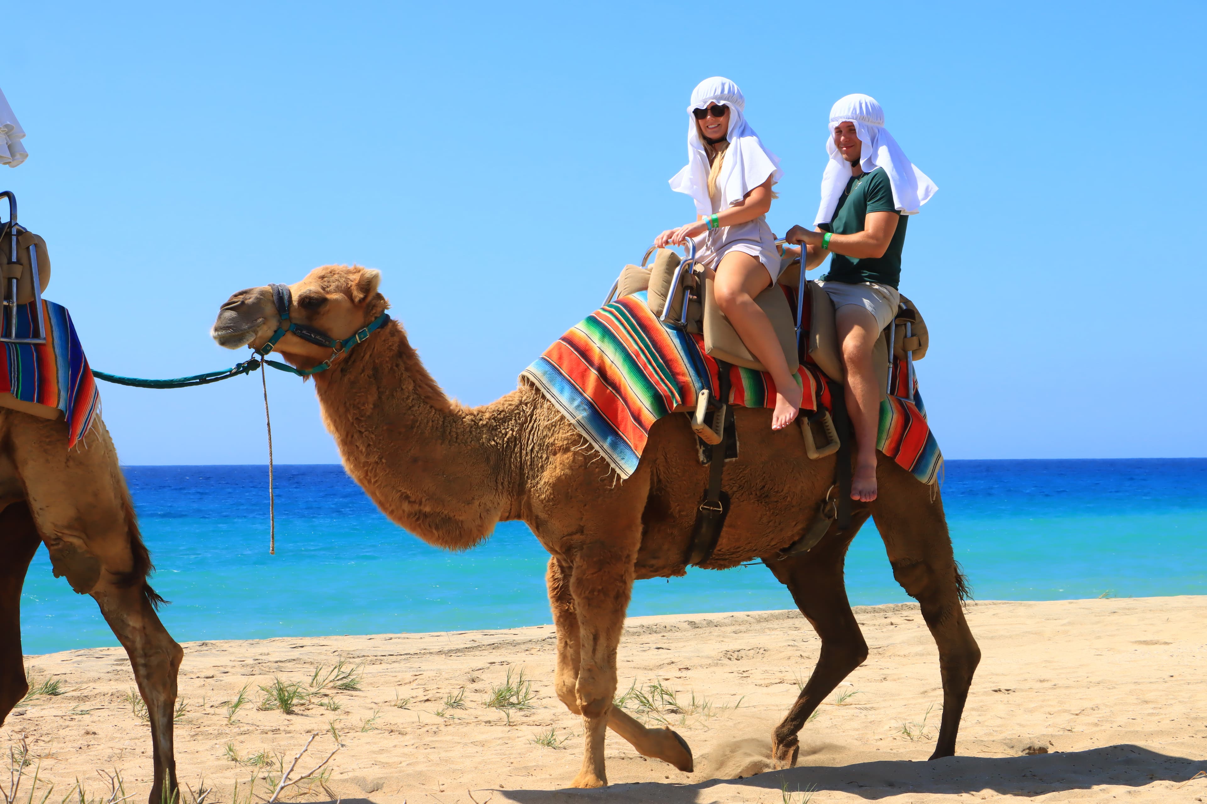 Taking a ride on a camel