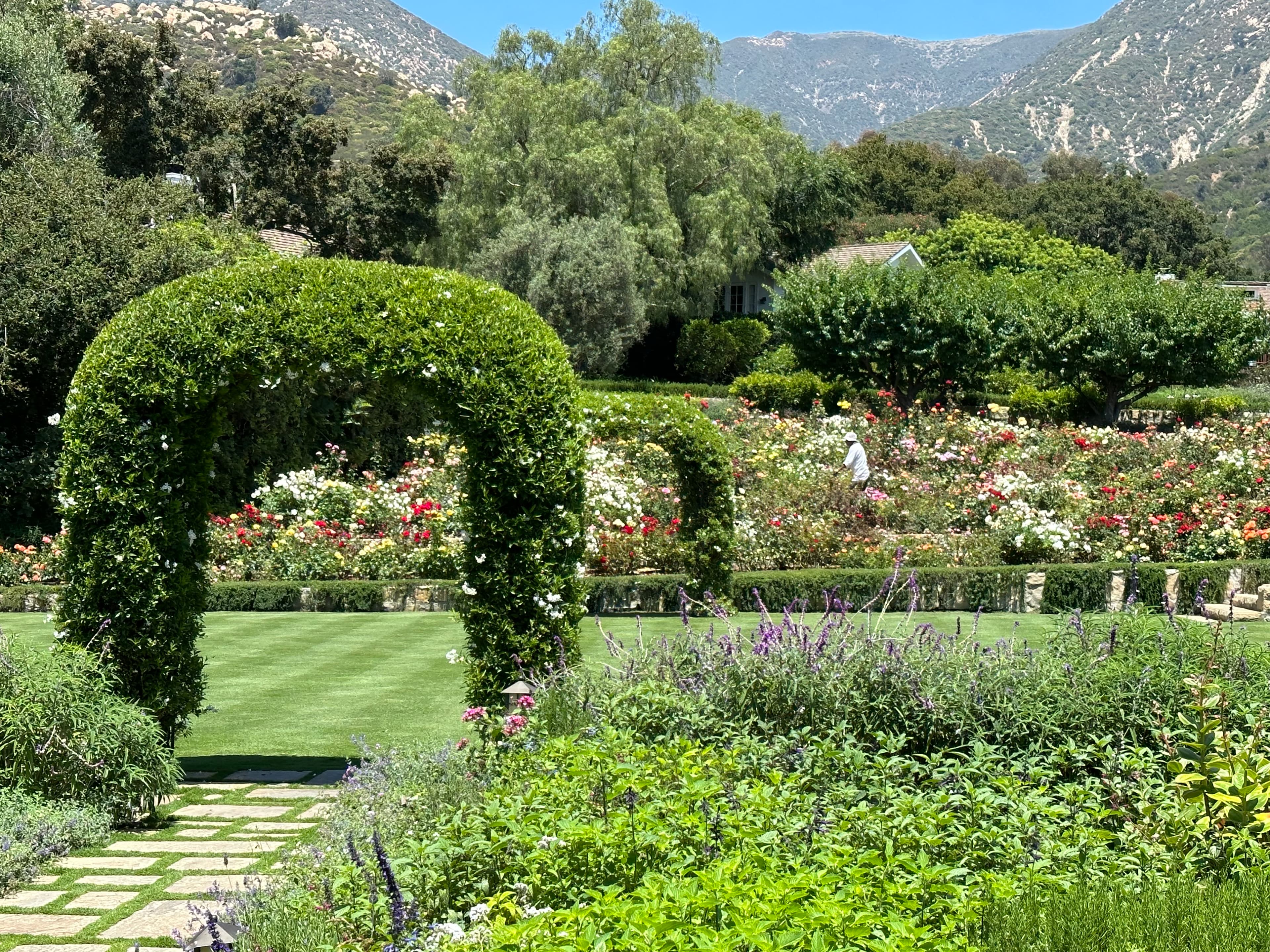 Beautiful view of a garden with a green arch and mountains in the background