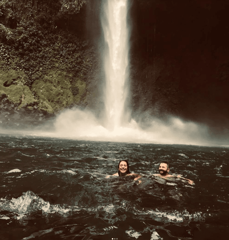 View of Palm trees in sunset