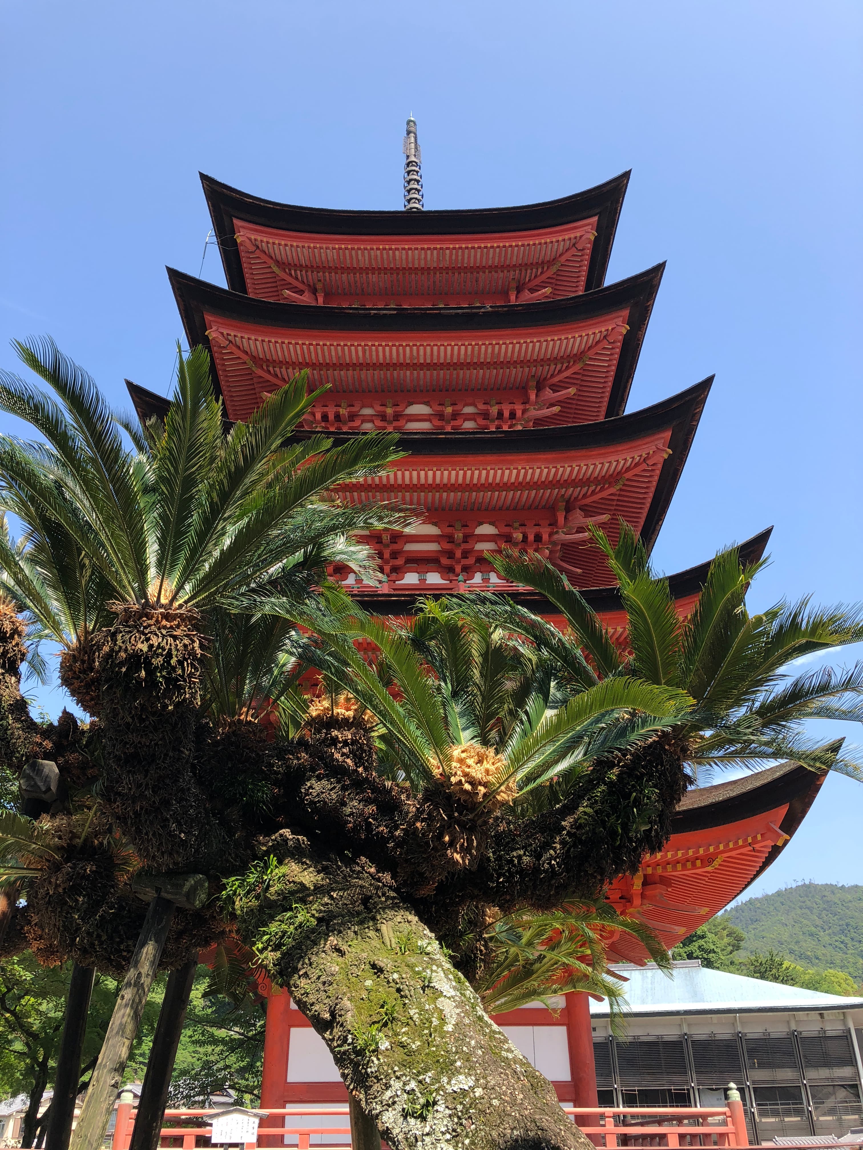 Beautiful view of Hokokujinja Senjokaku Pavilion