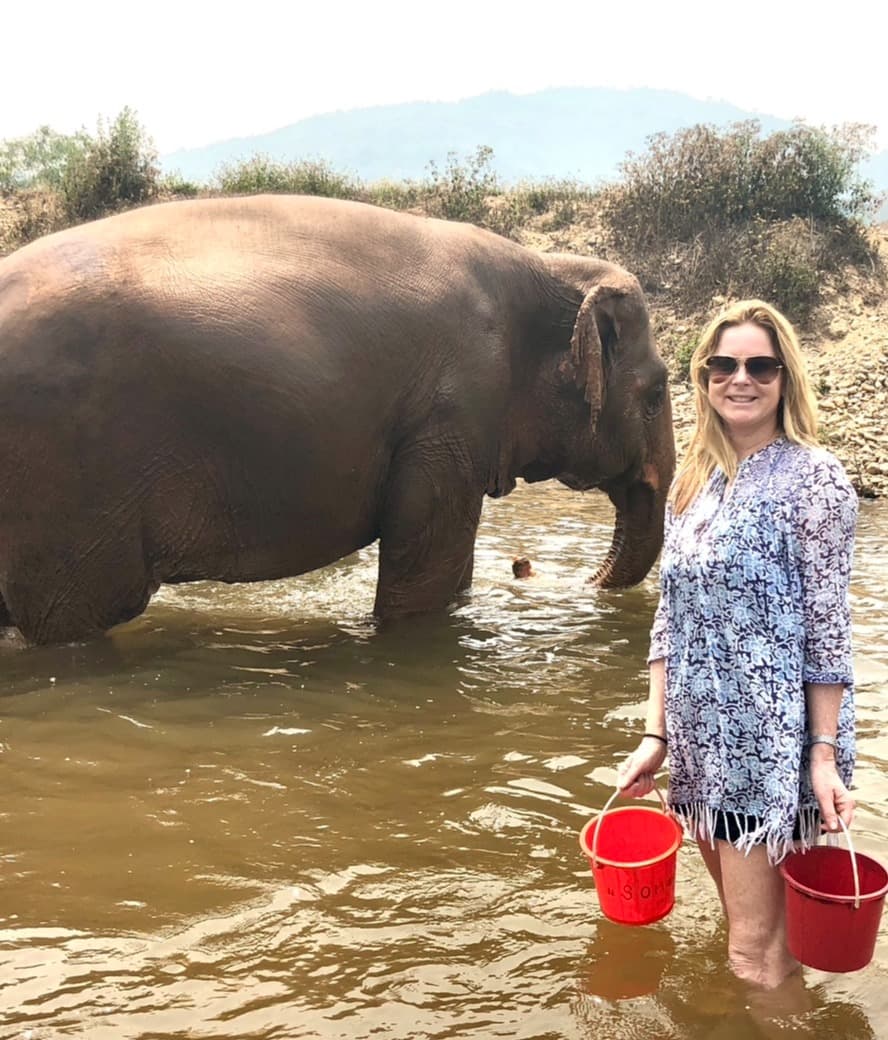 Ashley standing with elephants in an elephant sanctuary.