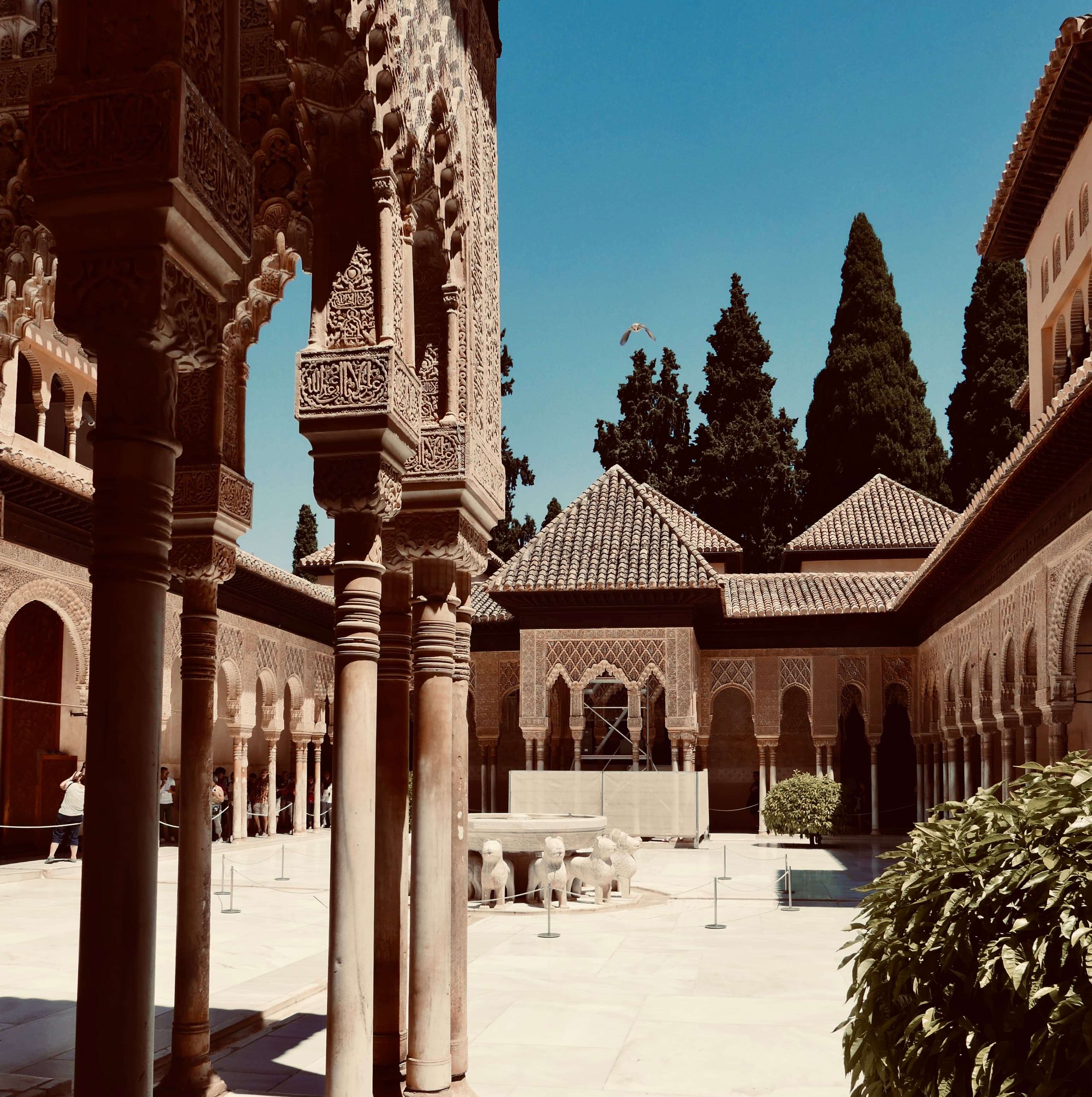 Beautiful view of Patio de Los Leones