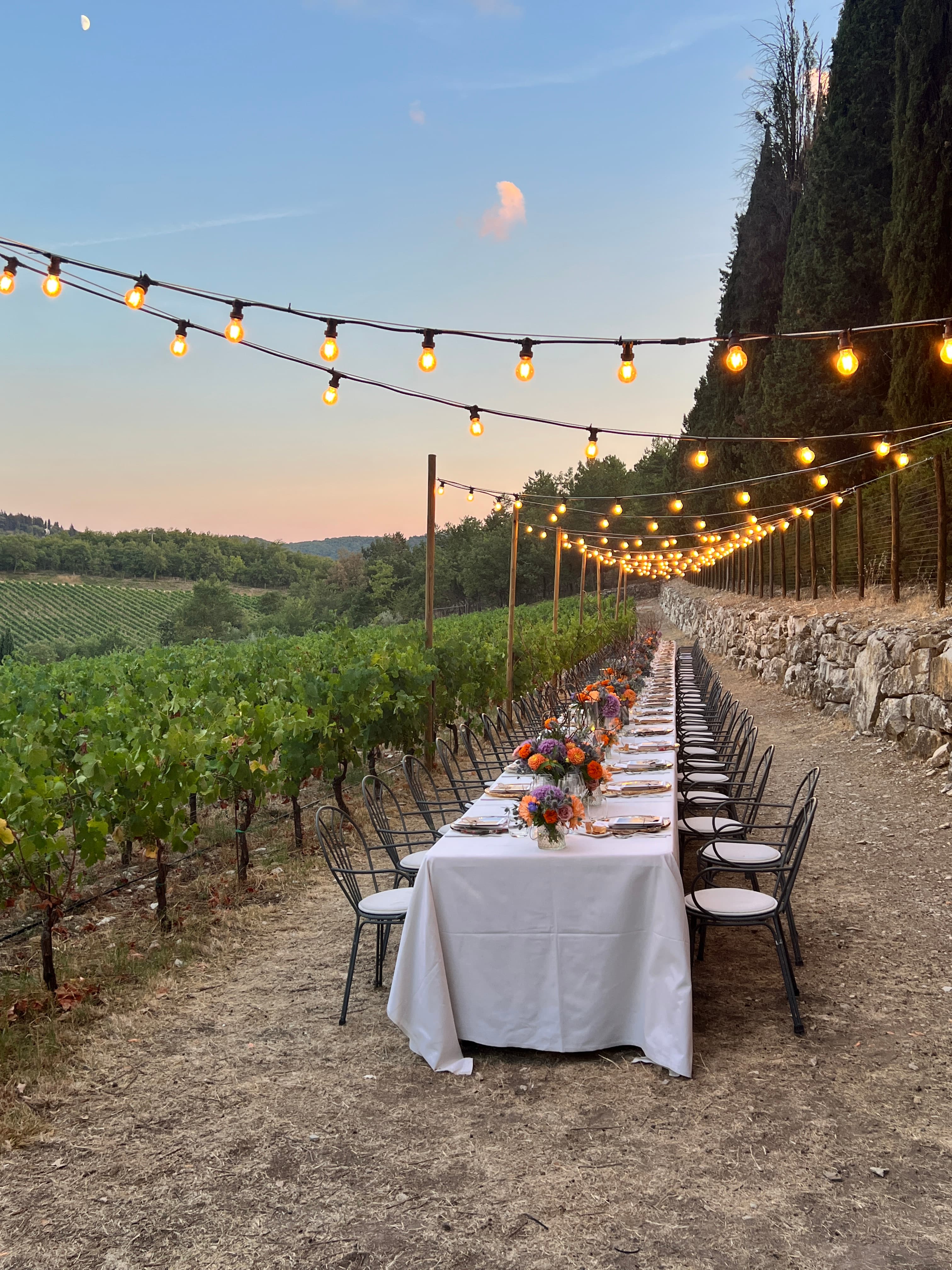 Beautiful outdoor party setup