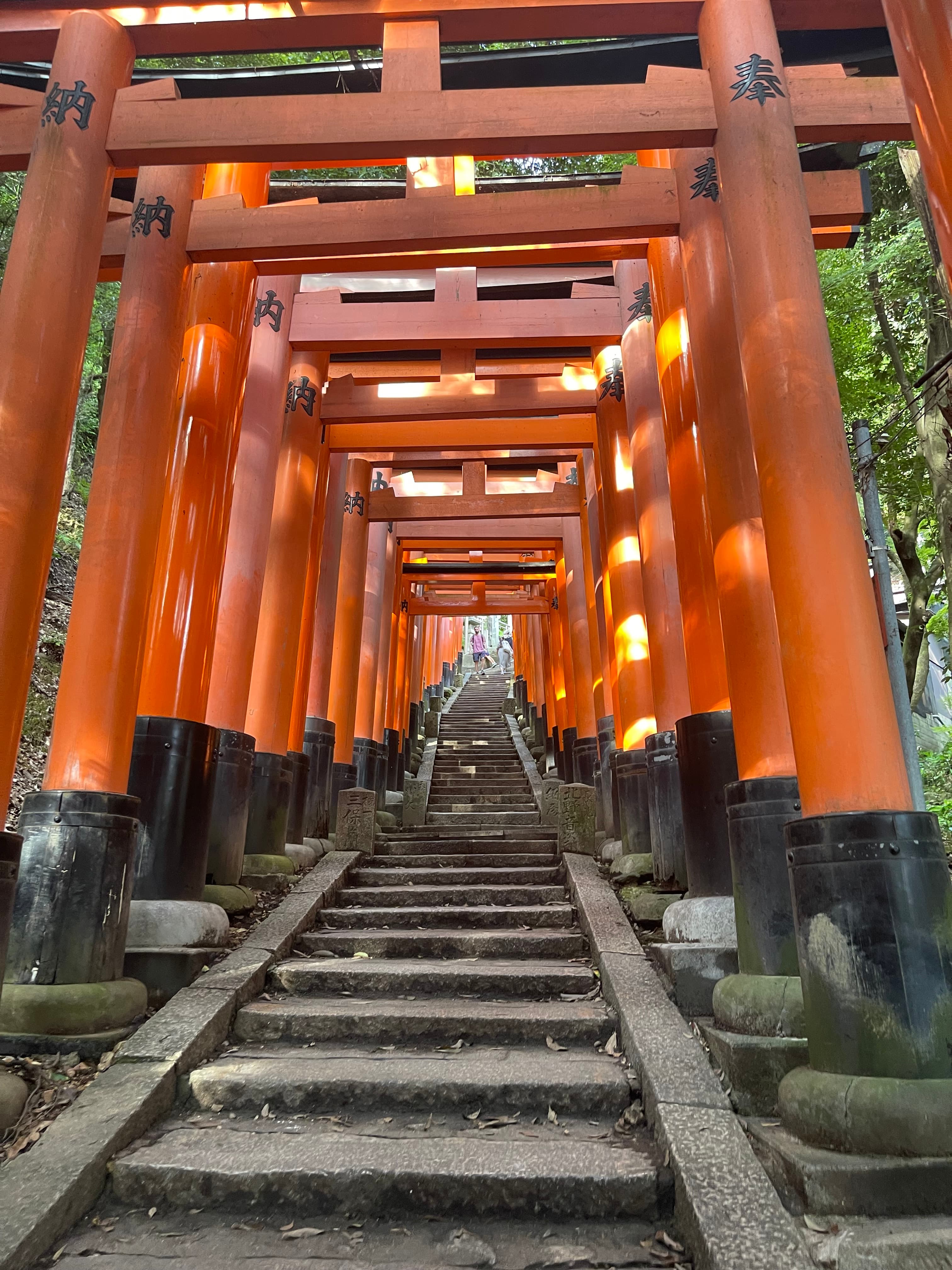 View of Fushimi Inari Taisha