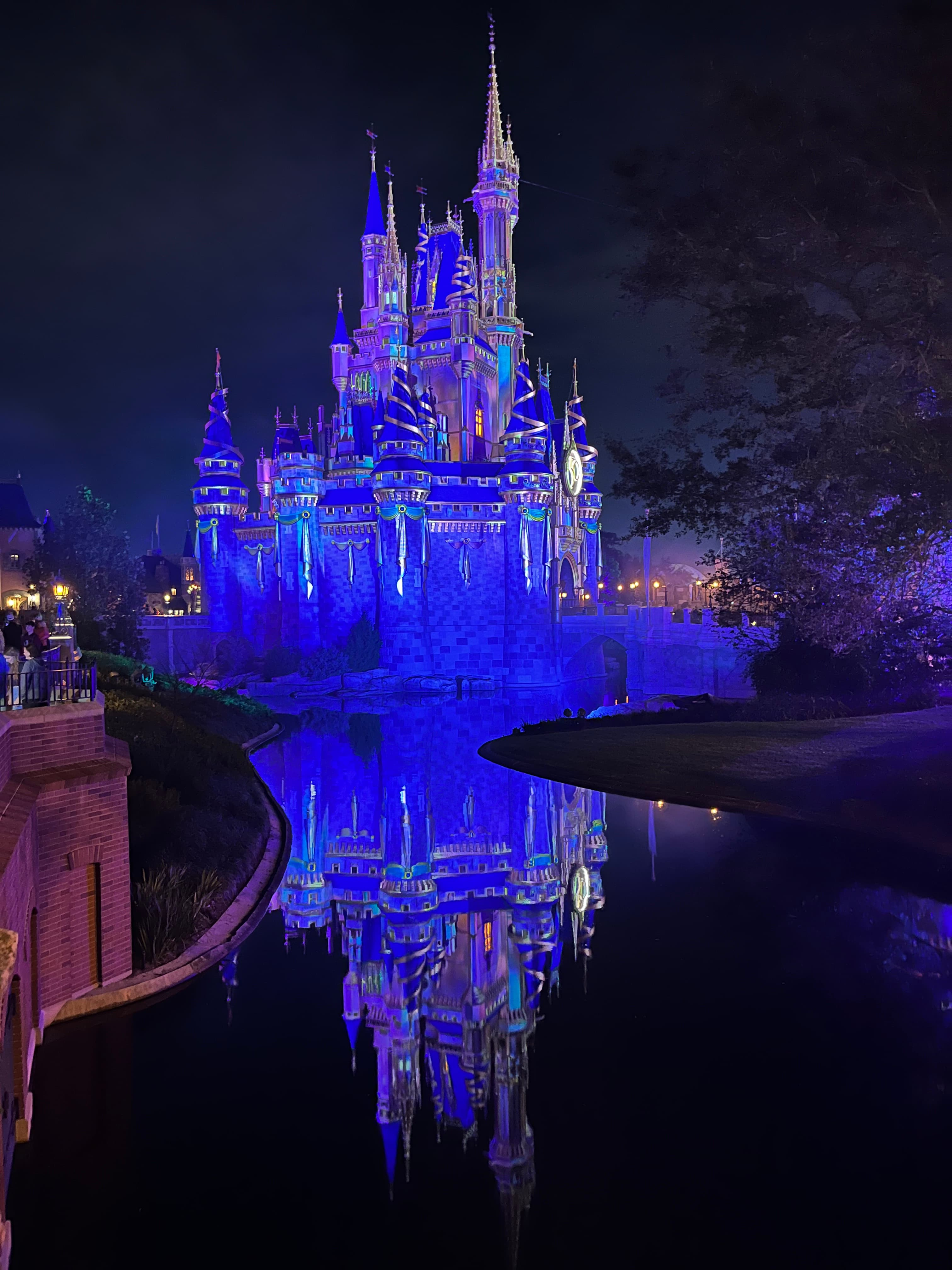Beautiful vie wof Magic Kingdom Park
