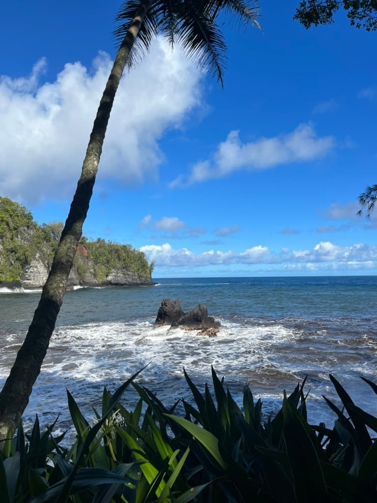 Beautiful view of Onomea Bay