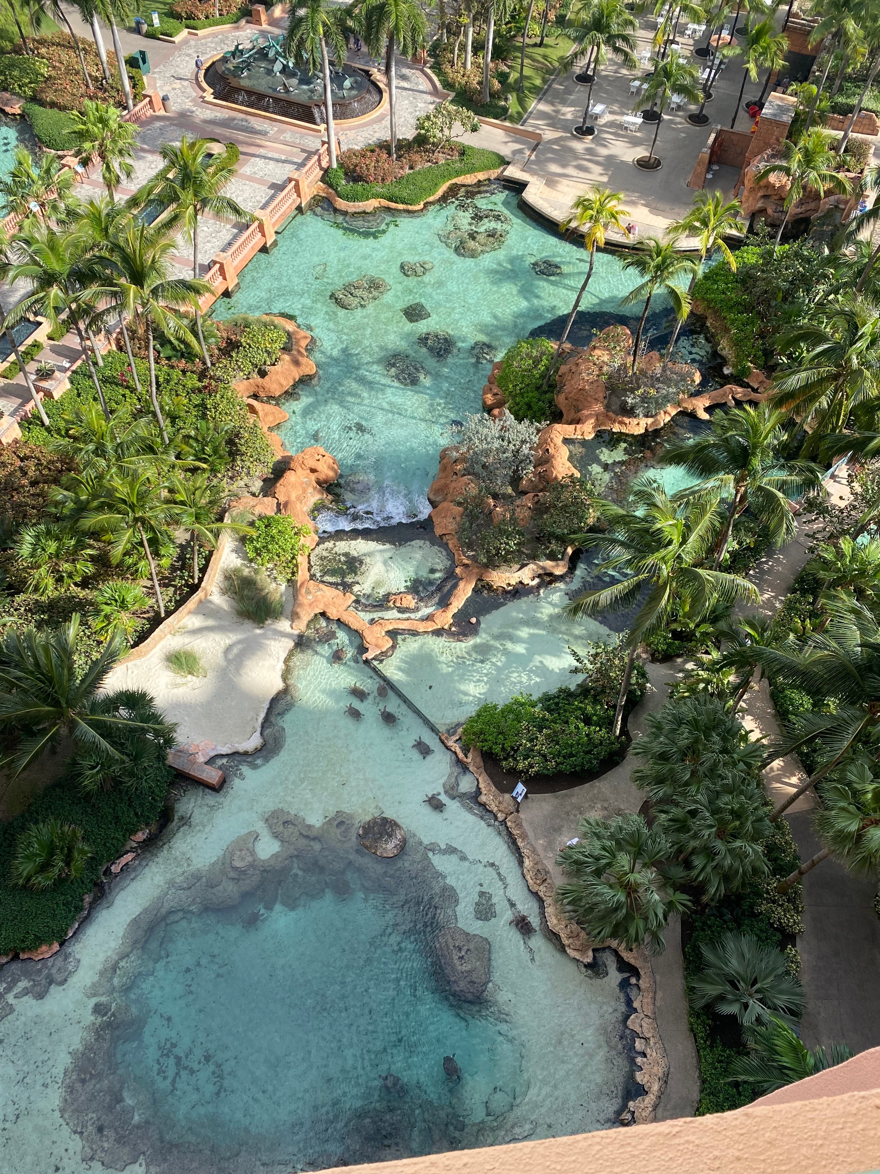 The Royal Atlantis hotel – view from above of pools with trees and palm trees surrounding