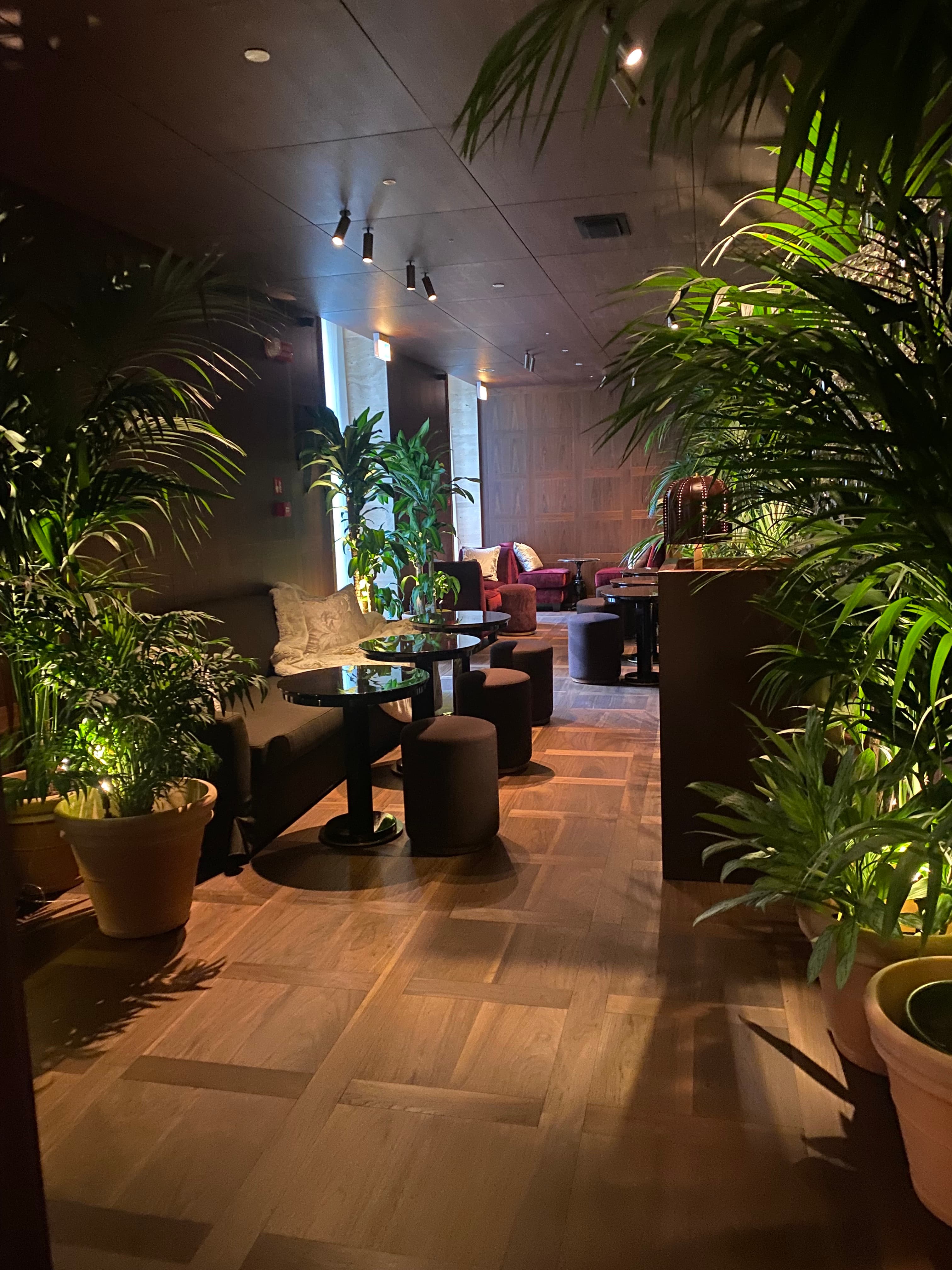 A lobby with wood floors, plants, a couch and small round tables
