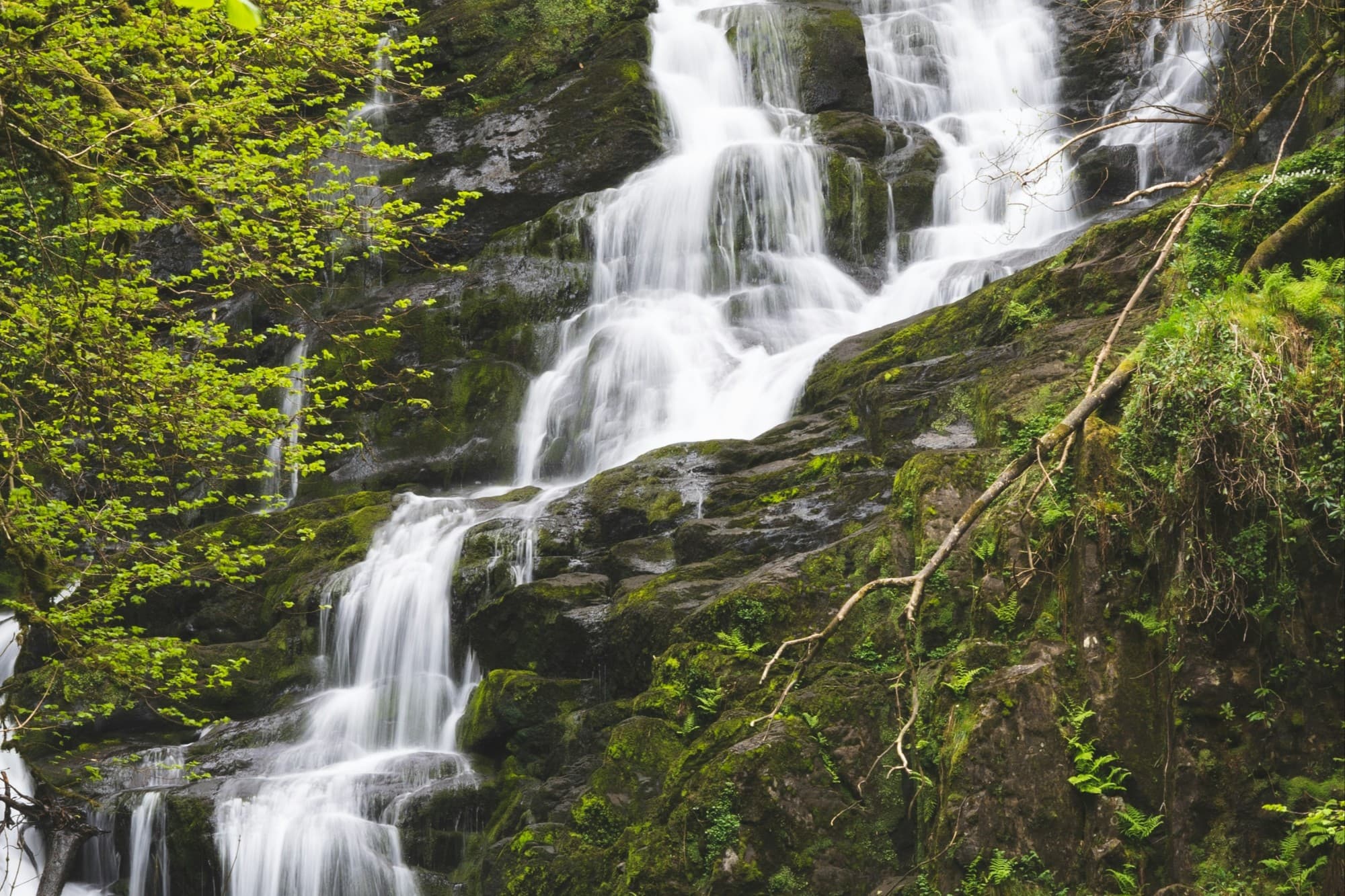 Killarney National Park