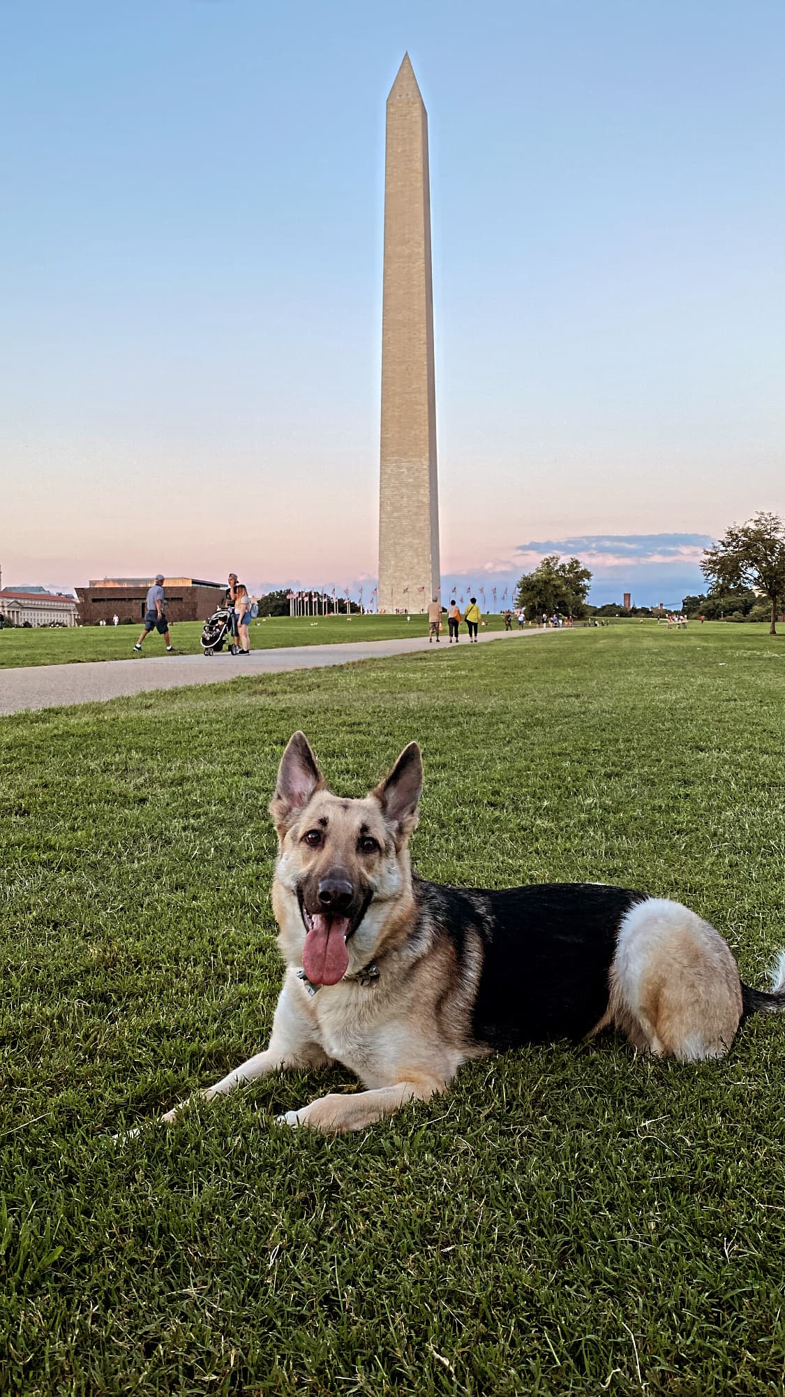 Picture of god sitting on grass with Washington Monument in view