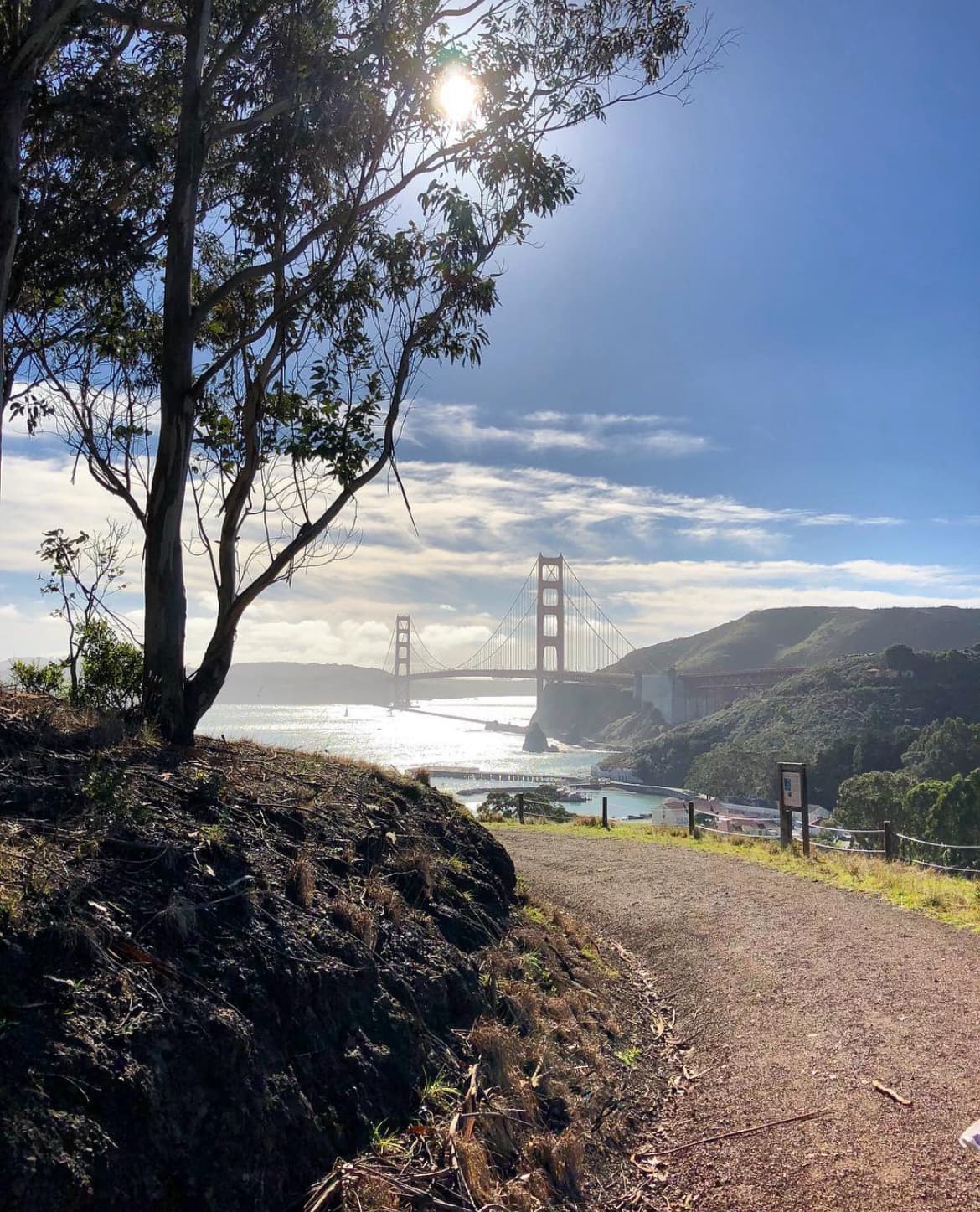 A view of a curved path surrounded by grass, plants and trees with a view of the mountains, Golden Gate Bridge and ocean water with the sun shining through on a beautiful day.