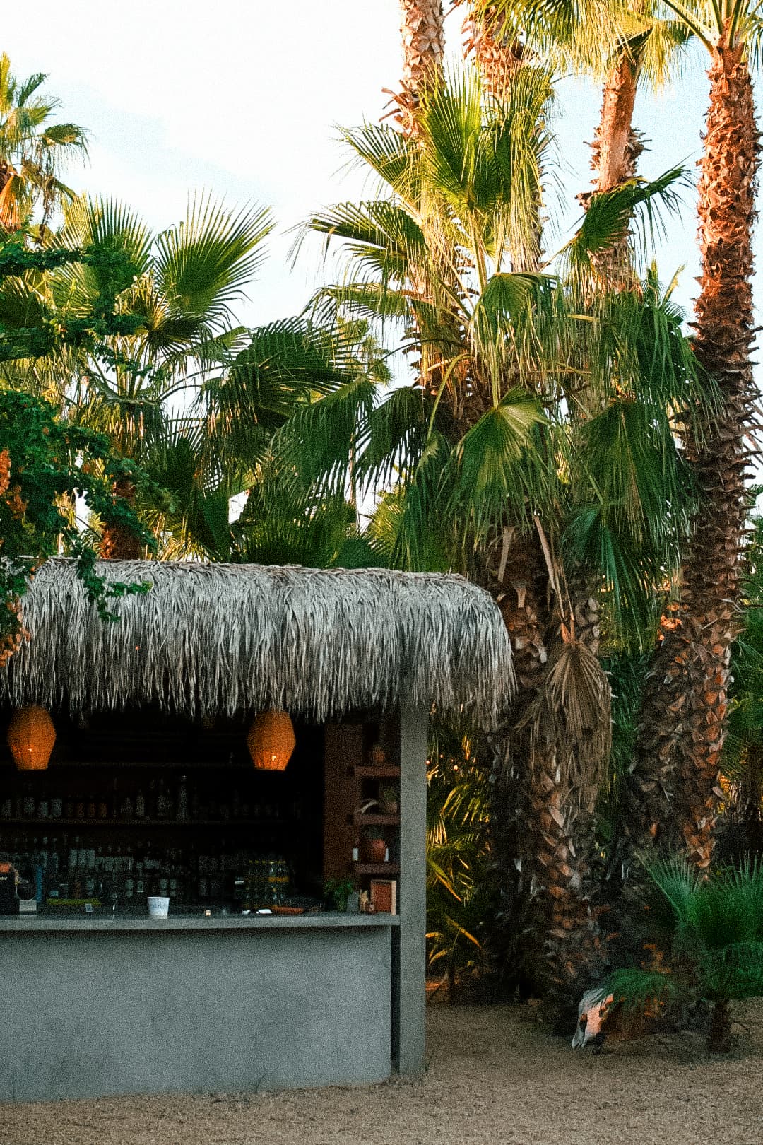 An image of an outdoor bar with concrete paneling, wicker pendant lighting and straw roof. The bar sits on a sandy beach surrounded by palm trees varying in height.