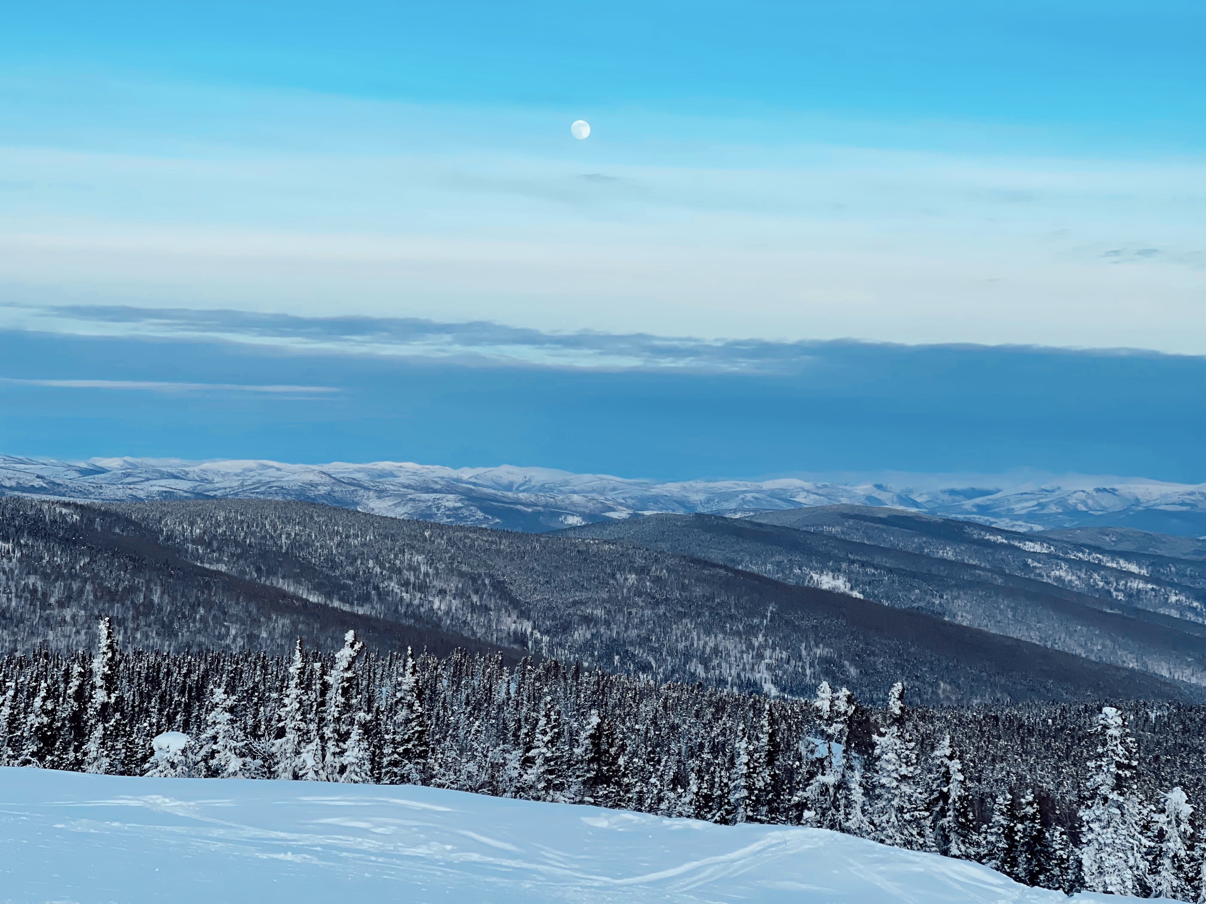Beautiful view of everything covered in snow