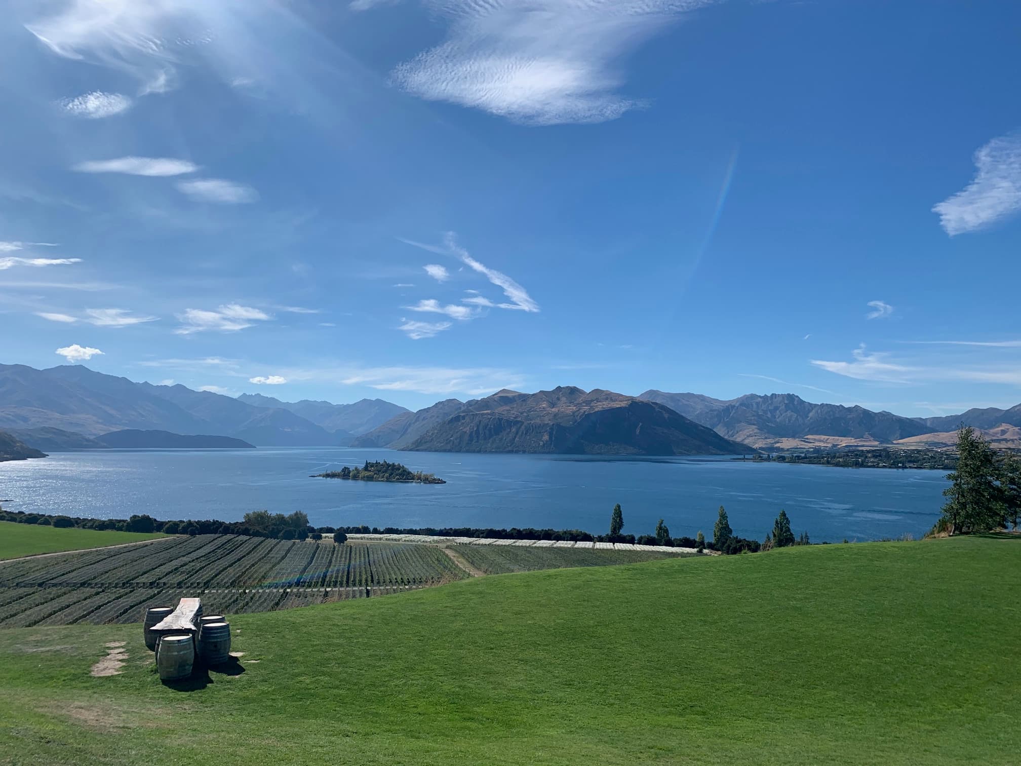 Beautiful view of green lawn by the lake