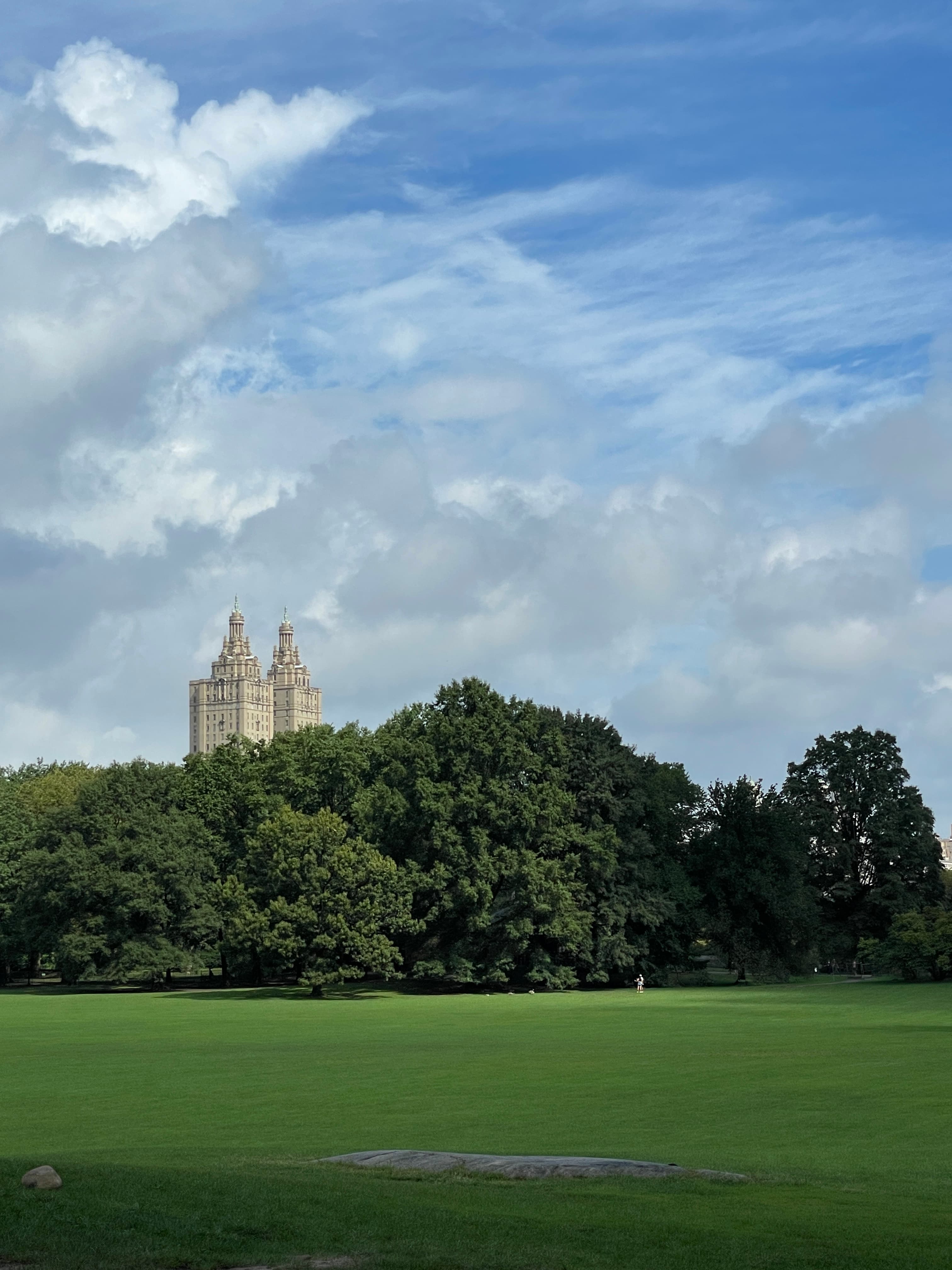 Beautiful view of Central Park