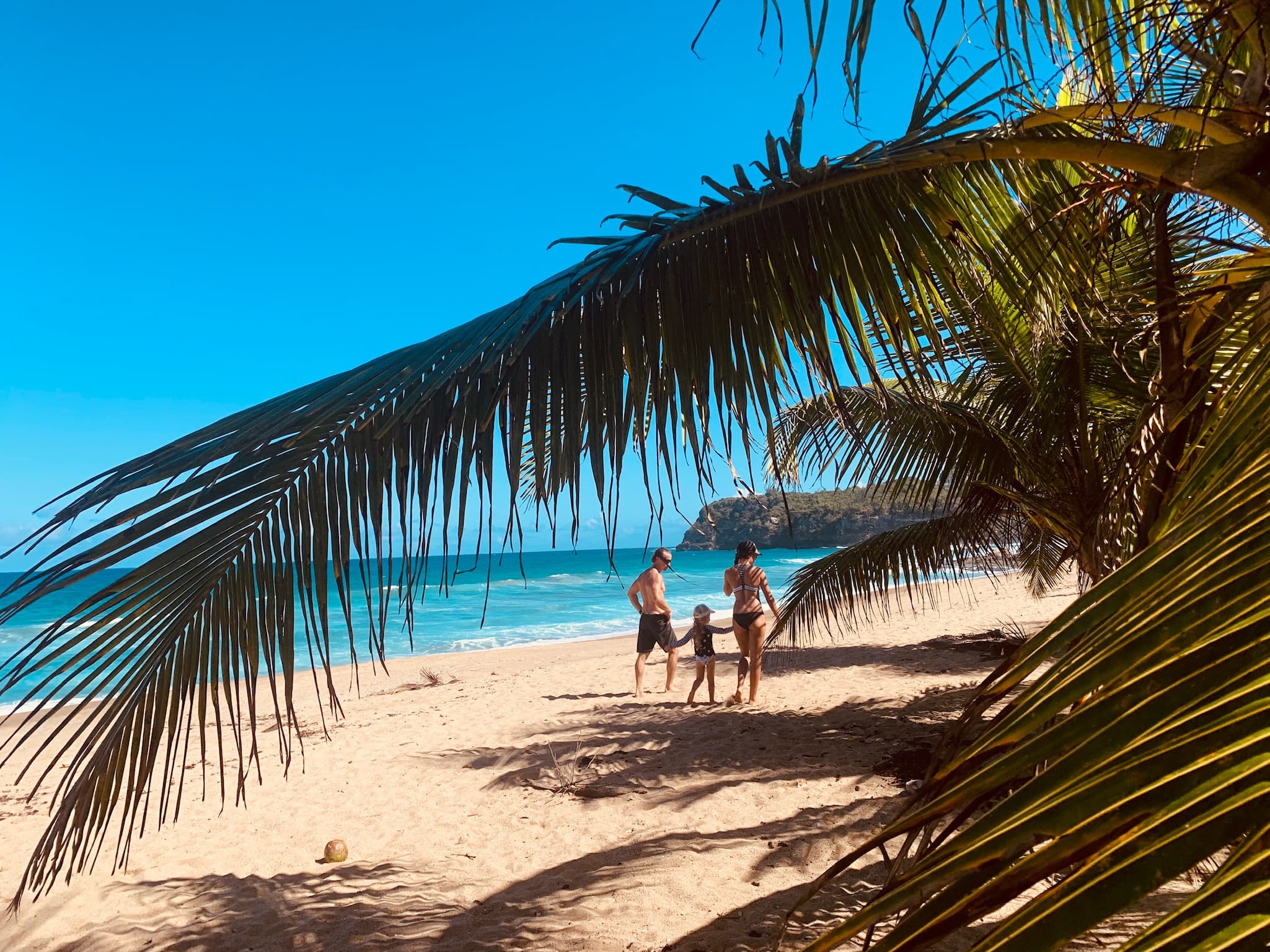 Family picture on the beach with palm trees in the distance.