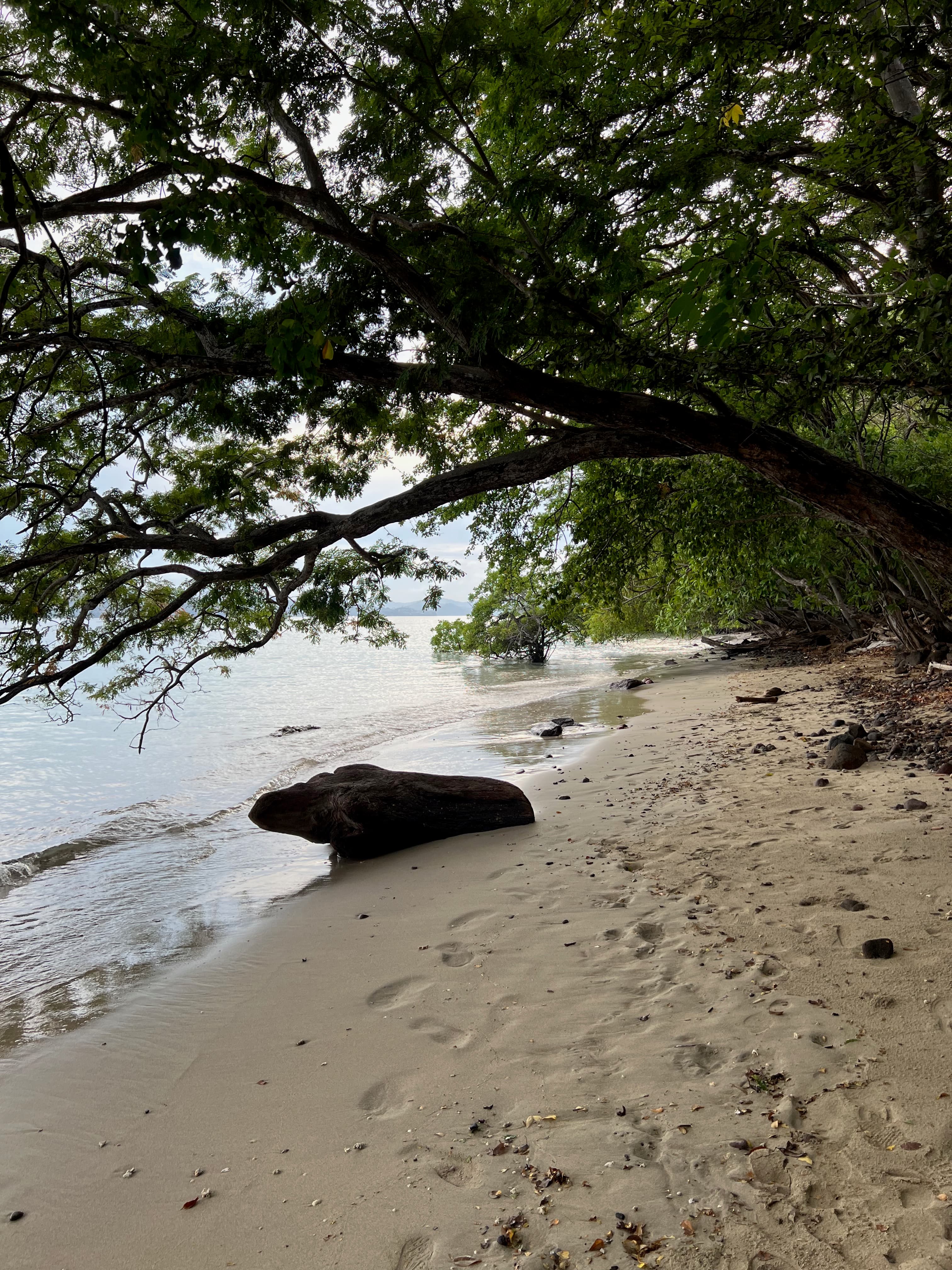 A beautiful view of beach