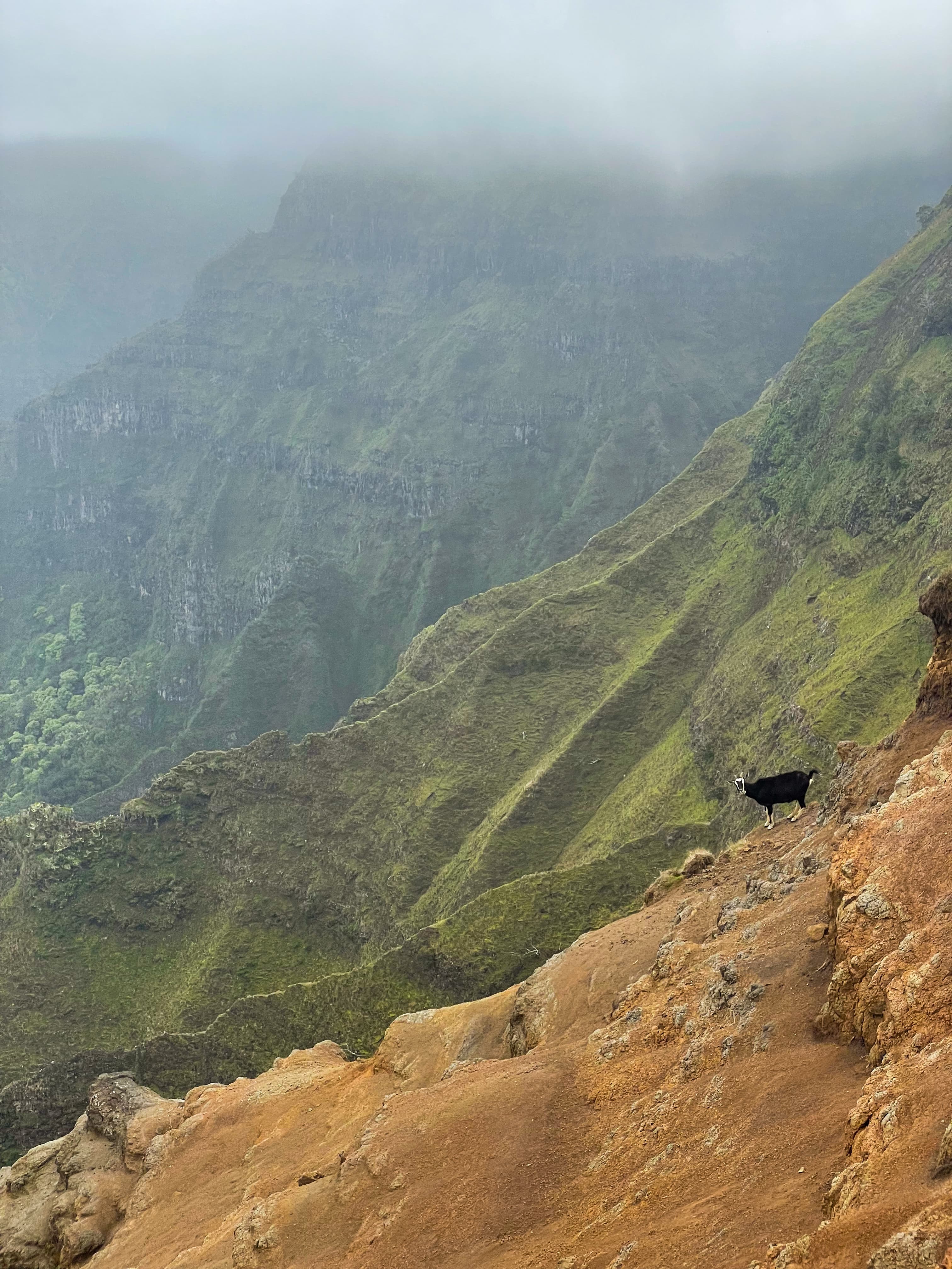 A beautiful view of mountains