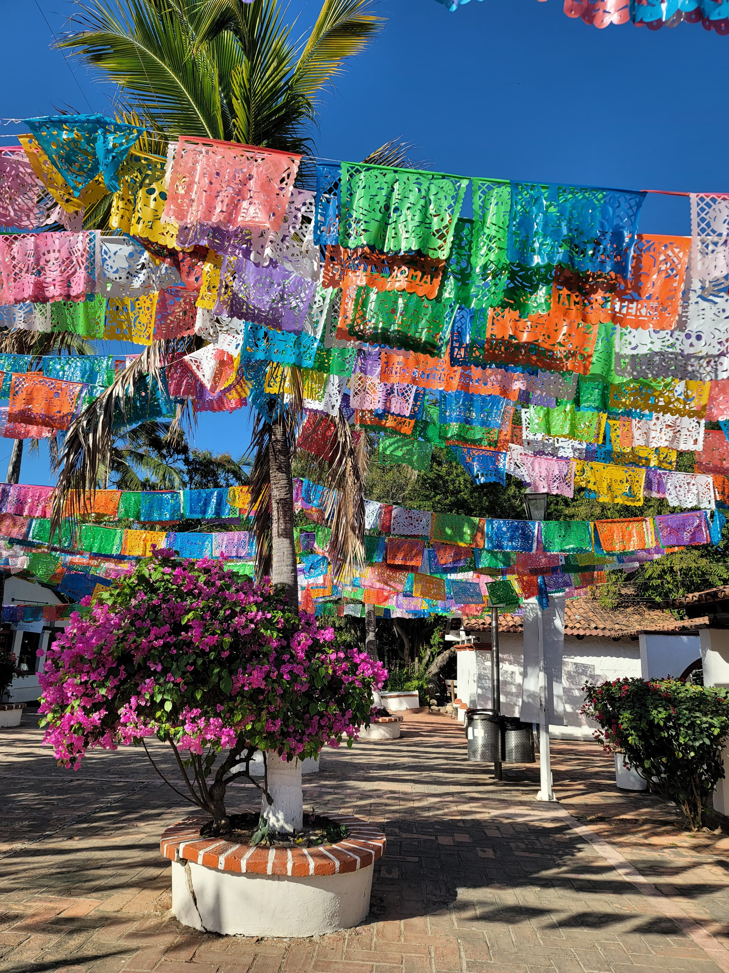 Colorful view of Puerto Vallarta