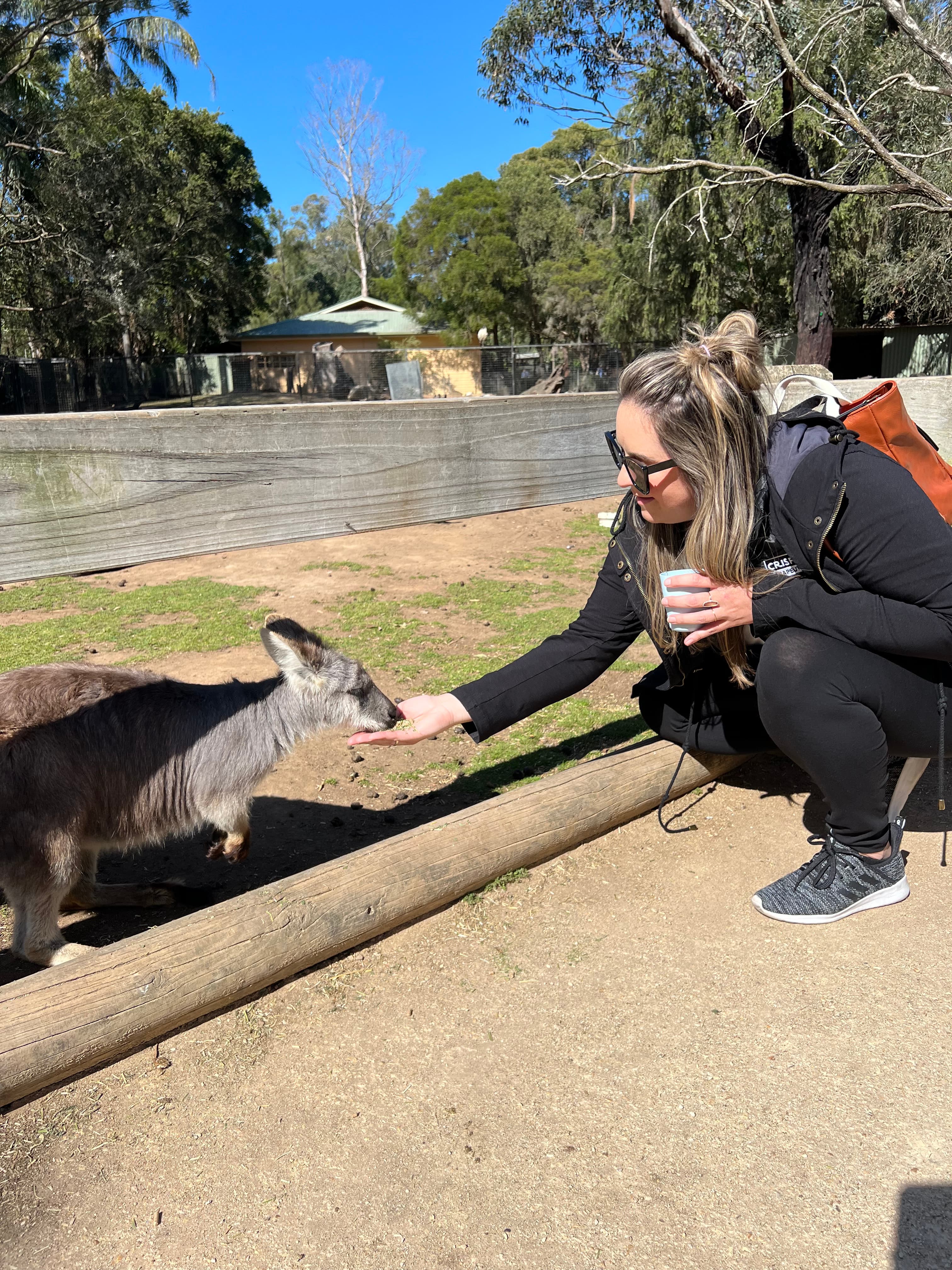 Picture of Kerri feeding kangroo